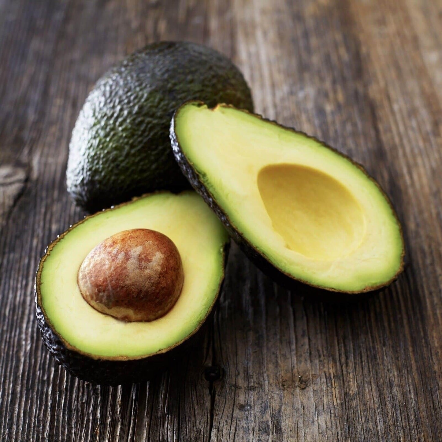 Live Plant - Avocado HASS (Persea Americana) Tropical Live Big Fruit Tree 12โ-24โ