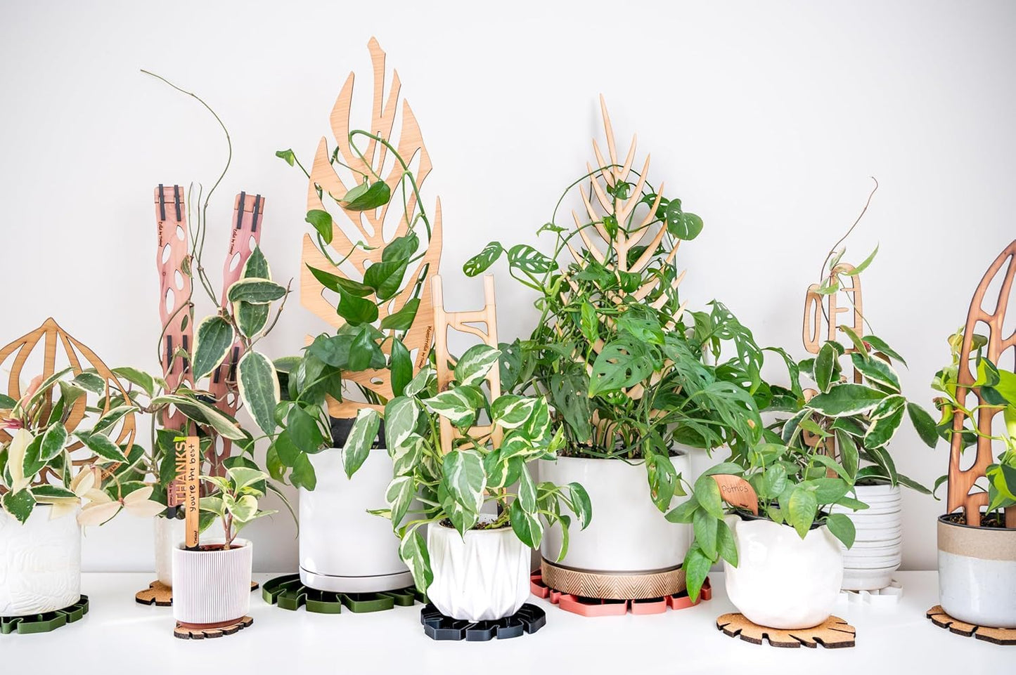 Treleaf Zella Regular Starter Kit – Wooden Extendable Plant Trellis for Indoor Climbing Houseplants – Modular Plant Support with 2 Bases + 2 Extensions - Moss Pole Alternative