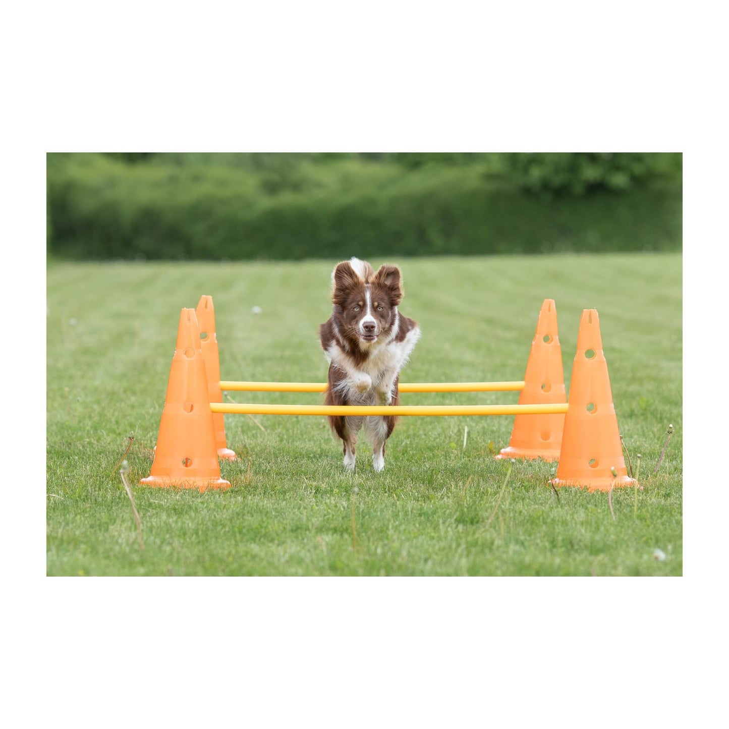 TRIXIE Pylon Obstacle Set – 6 pylons – 3 poles – variable height adjustment: 6 cm / 13.5 cm / 20 cm – orange/yellow – 32091
