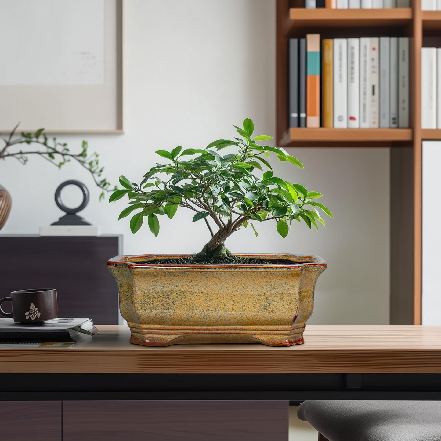 Teagas Bonsai Tree Pots 11.6 Inch - Ceramic Bonsai Planter for Succulent Plants, Succulent Pots with Drainage Hole, Large Indoor Flower Pot, Home Decor, Plant Lover Gifts, Rectangular Yellowish Brown