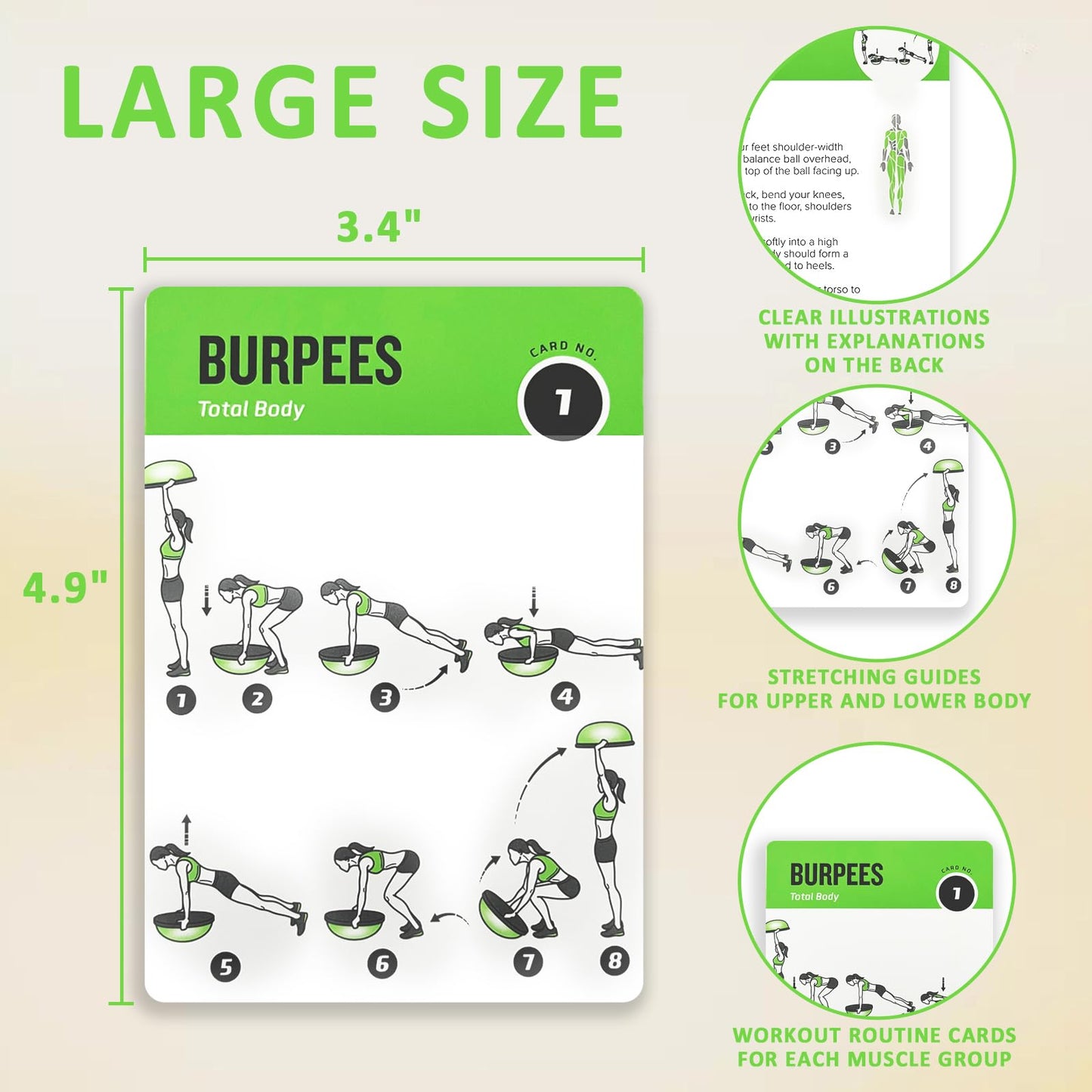 ELAORY Half Balance Ball Workout Cards, 62 Exercises Cards Deck Large Size 5" x 3.5" Fitness Cards for Women & Men, Beginner Fitness Guide to Training Exercises at Home or Gym