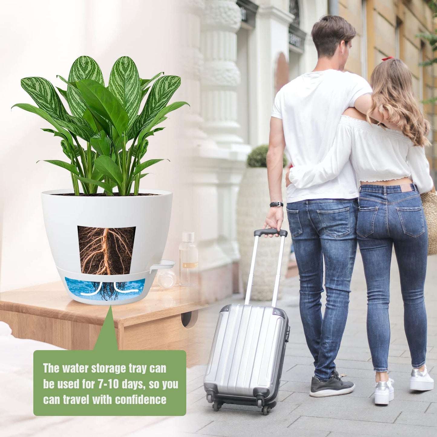 UOUZ Large Self Watering Pots, 12/10/9 Plastic Planters with High Drainage Holes and Deep Reservoir for Indoor Outdoor Garden Plants and Flowers, White