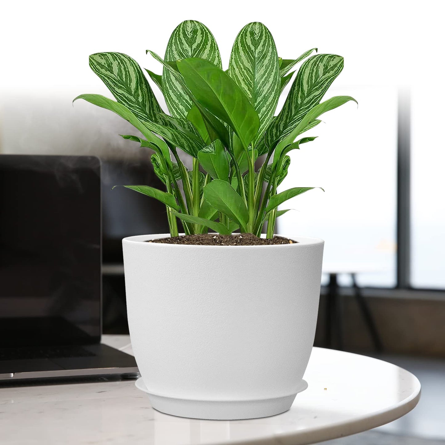 UOUZ 12/10/9 Large Plant Pots, Plastic Planters with Drainage Holes and Saucers for Indoor Outdoor Plants Flowers, White