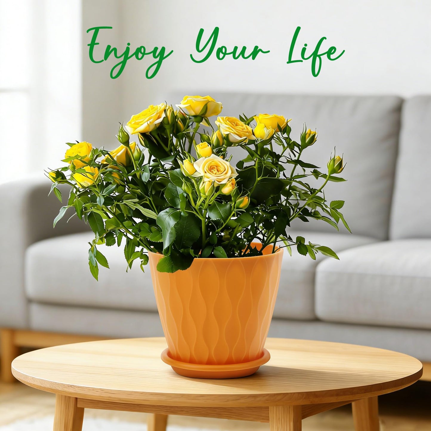 YNNICO 6 inch Plant Pots, 6 Pack Flower Pots Outdoor Indoor, Planters with Drainage Holes and Tray Saucers-Multicolor