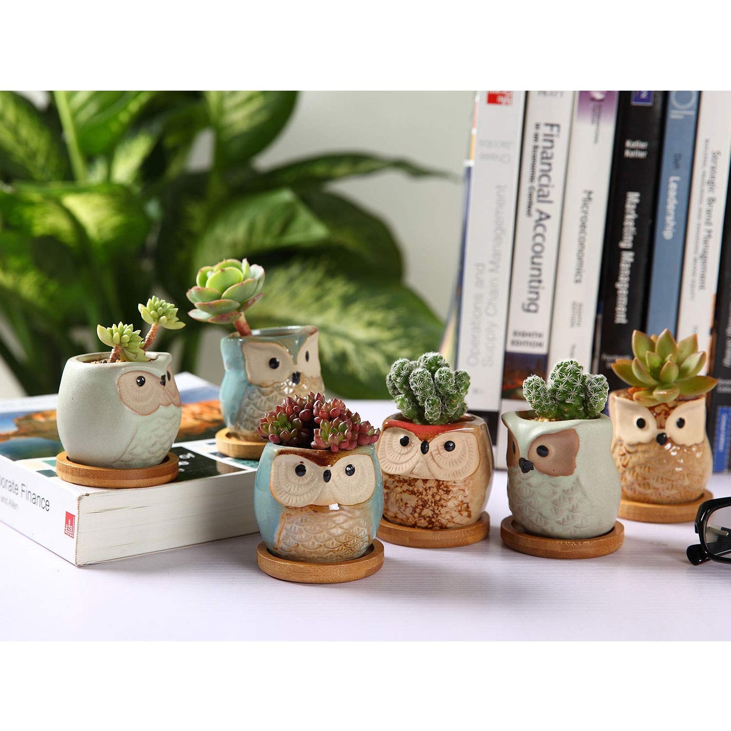 T4U 2.5 Inch Owl Ceramic Succulent Planter Pots with Bamboo Tray Set of 6, Flowing Glaze Porcelain Handicraft Plant Holder Container Gift for Mom Sister Aunt Best for Home Office Garden Decoration
