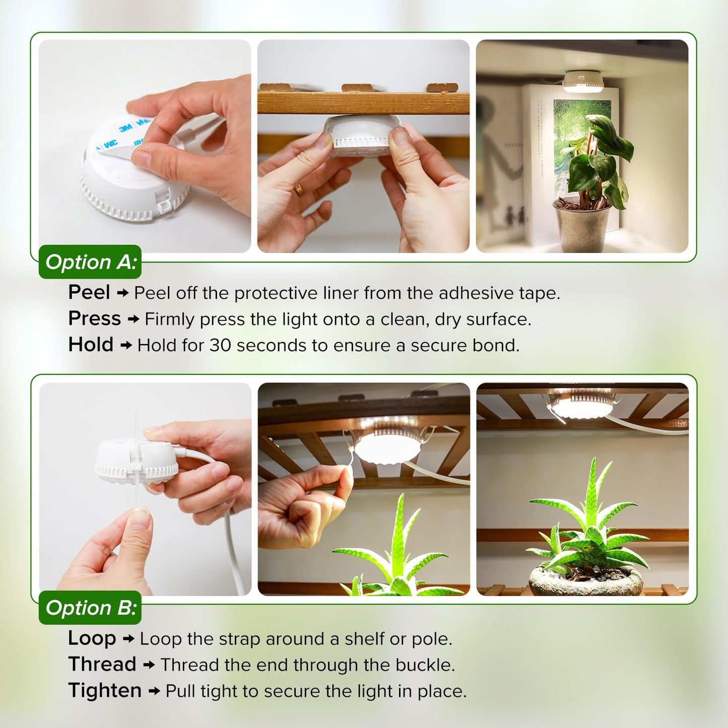SGLEDS 7W Grow Light for Indoor Plants, Full Spectrum Plant Light with Auto Timer (3/6/12H) & 4-Level Dimming, Small Led Grow Light for Seedlings, Succulents, Herbs