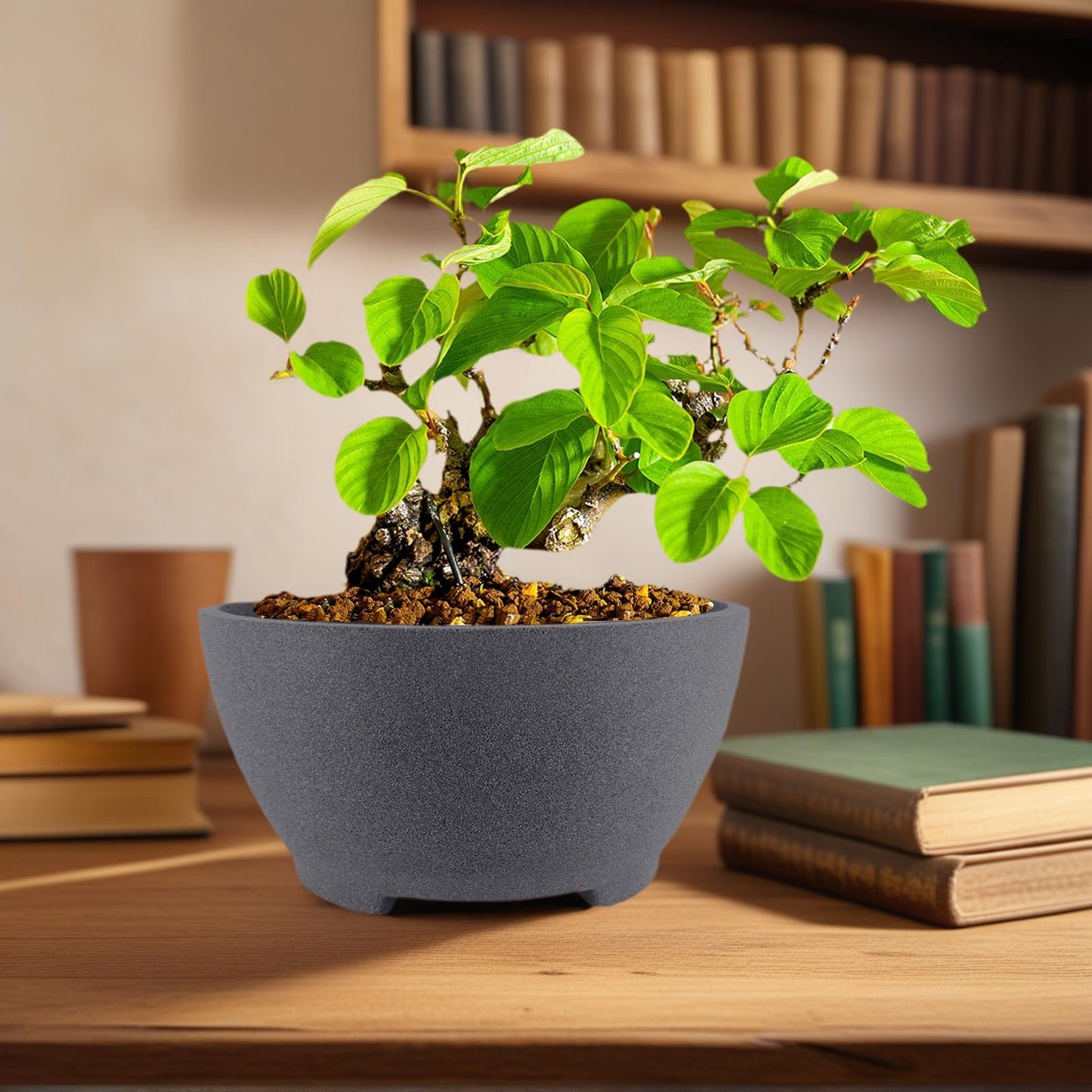 TINYVISTA 7” Gray Unglazed Bonsai Pot with Drainage Holes - Ceramic Clay Planter for Ficus Trees, Succulents & Indoor Plants, 3.3" High Round