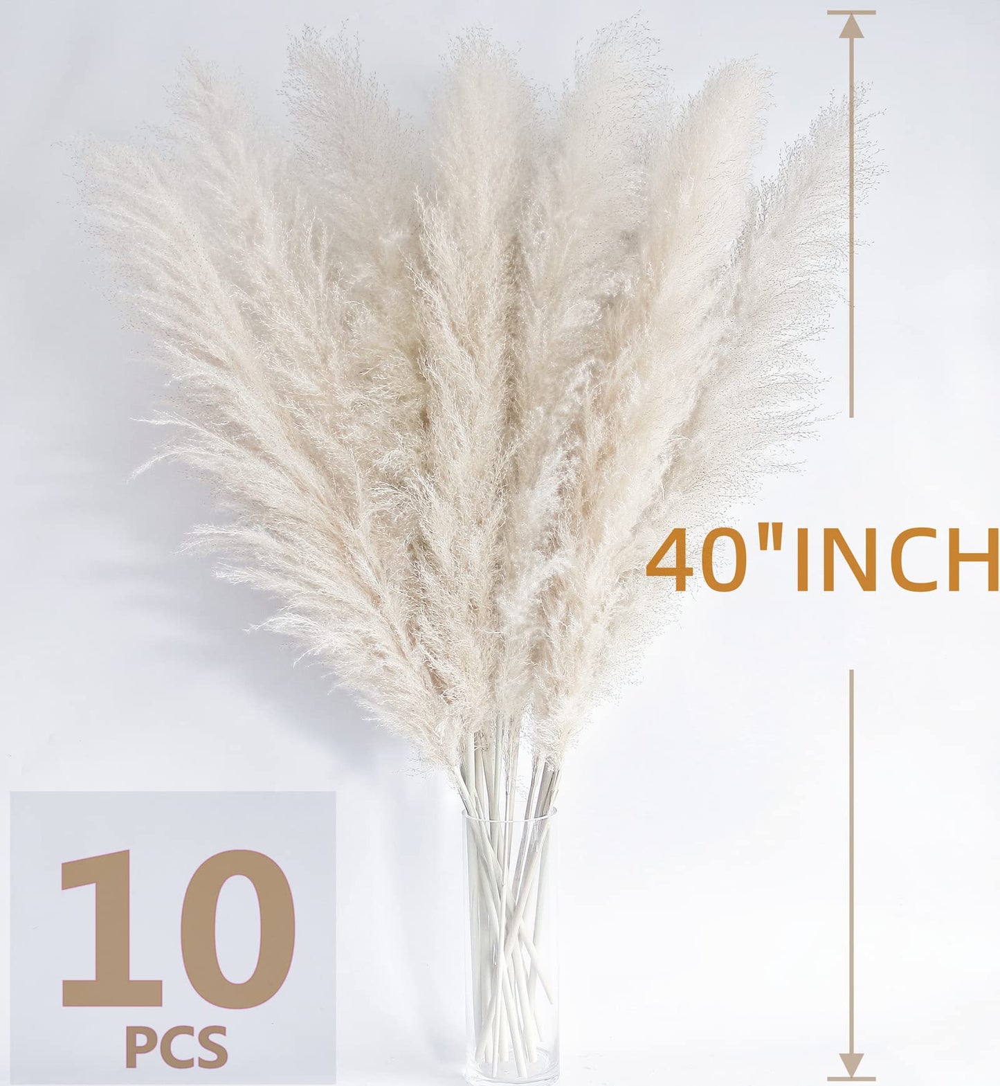 Bannifll 46 Inch 10 Stems White Pampas Grass Decor Tall, Dried Plants, Natural Dried Flowers for Wedding, Natural Home Decor, Wall Grass, Glam Decor
