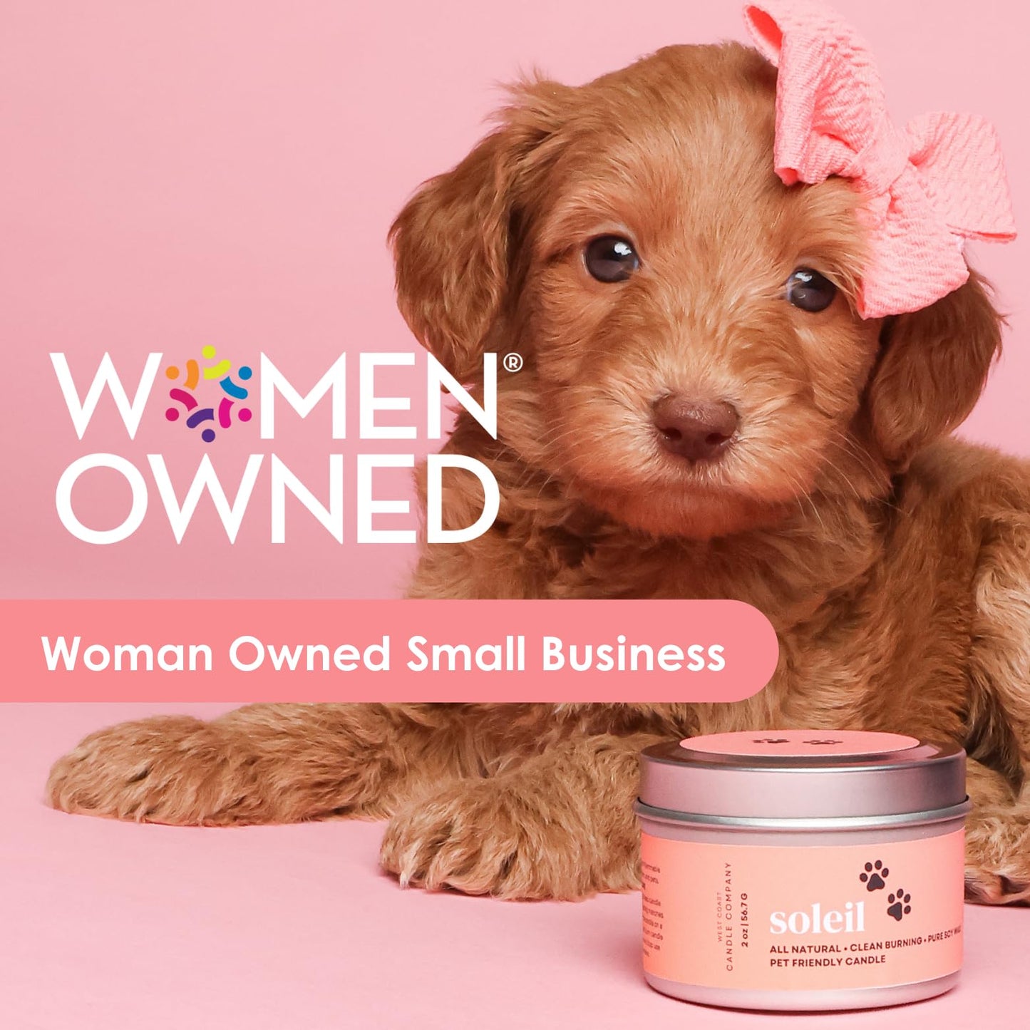 Pet Safe Candle for Dogs | Non Toxic Coconut Apricot Wax Candle | Clean Burning, Paraffin-Free | Pet Odor Eliminating Home Fragrance | 9 oz (Bergamot Sunrise)