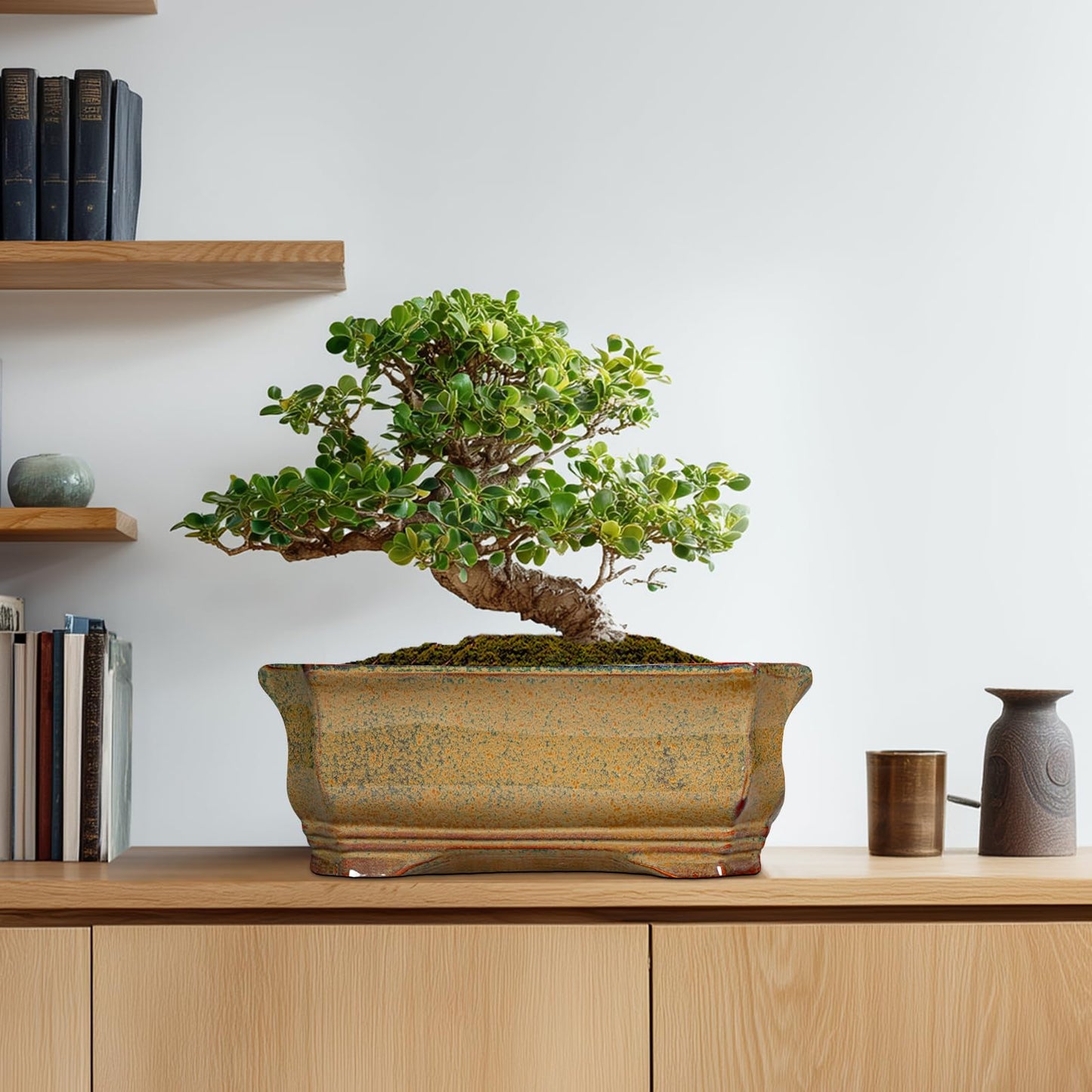 Teagas Bonsai Pots 13.7 Inch - Ceramic Bonsai Tree Pots with Drainage Hole, Succulent Planters for Indoor Outdoor Plants, Decorative Planter, House Decor, Gardening Gifts, Rectangular Yellowish Brown