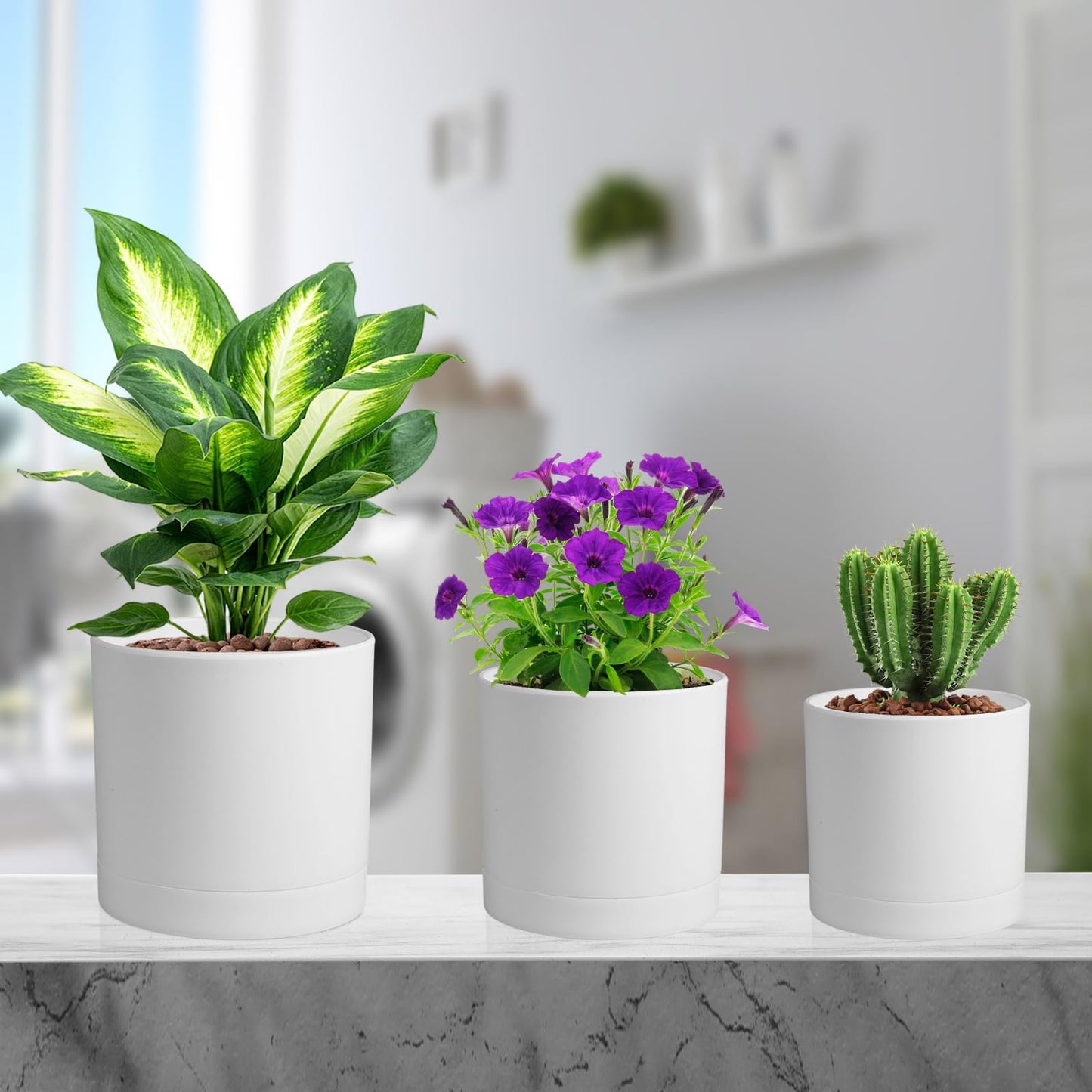 Meowell 6/5/4 inch Flower Pots, Pack of 3 Cylinder Plant Pots for Small Indoor Outdoor Plants, Plastic Planters with Drainage Holes and Saucers for Garden Succulent Nursery House Plants, White