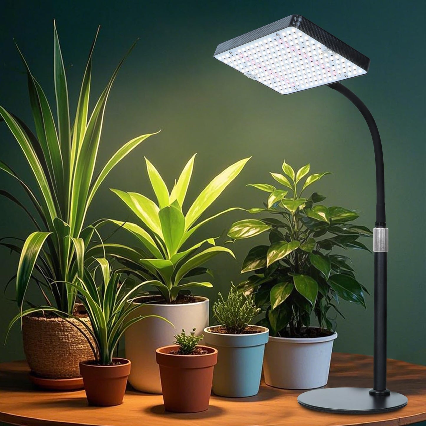 FECiDA Desk Grow Lights for Indoor Plants, Bonsai, Seed Starting, Table Top Grow Light UV-IR Full Spectrum, 25 Watt Power Draw, Bright Enough LED Growing Lamp, 16"-24" Height Adjustable