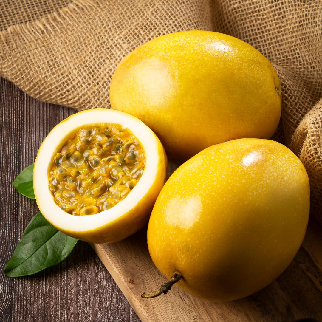 2 Passion Fruit Plant, Passion Fruit Tree, Purple Passion Fruit - Yellow