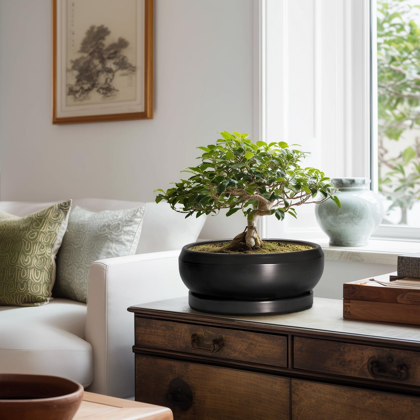 EPFamily Bonsai Pots 10 Inch - Ceramic Succulent Planters Indoor Outdoor, Bonsai Pots with Drainage Hole and Tray, Modern Shallow Planter, Round Bowl Planter, Garden Decor, Garden Gift, Black