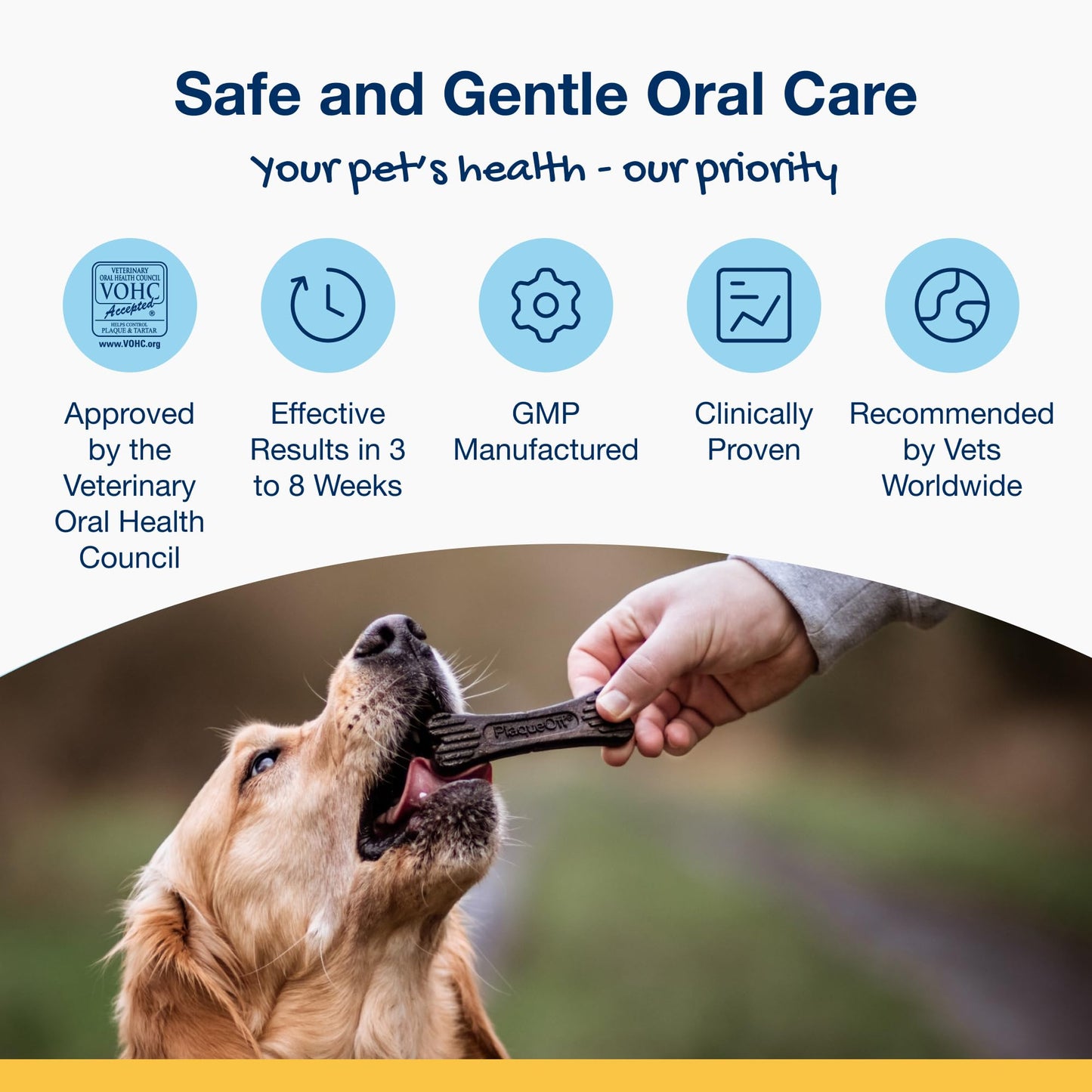 ProDen PlaqueOff 13 Dental Bones for Medium & Large Dogs, Tartar, Plaque & Bad Breath Remover, Improves Overall Oral Health, Pack of 2 (Chicken)