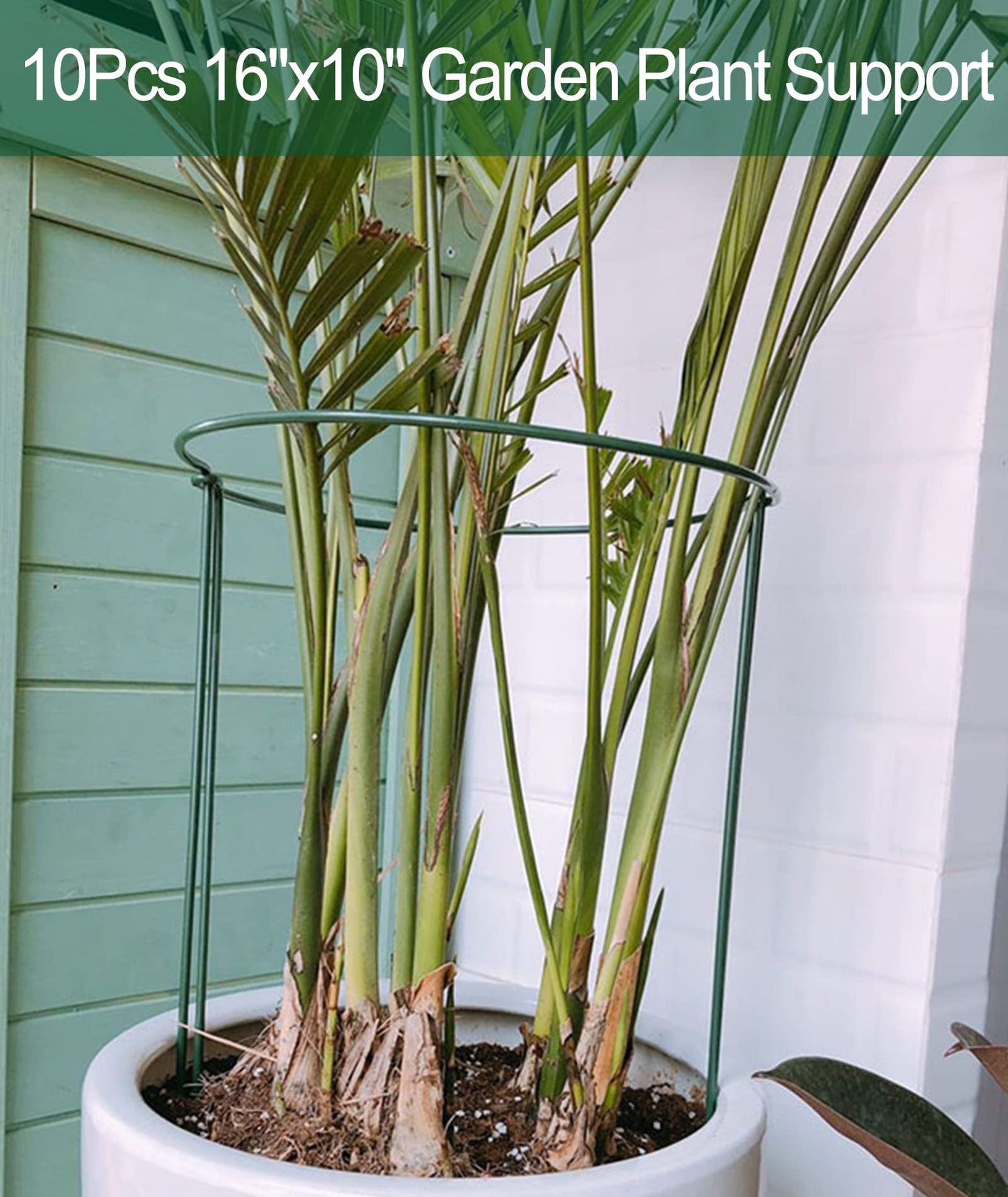 10Pcs 10'' x 16'' Plant Support Stakes, Metal Garden Plant Stakes, Half Round Plant Support Ring Cage for Peonies Monstera Hydrangeas Roses Sedum Vegetables Tomatoes (25×40cm)