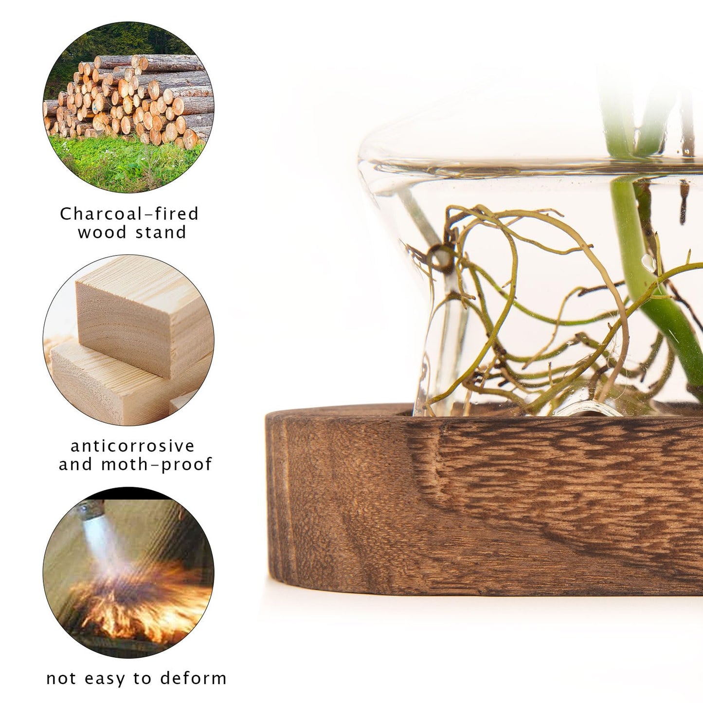XXXFLOWER Plant Propagation Station with Wooden Stand,Air Plant Terrarium Starter Kits Star Vases for Flowers Plant Cutting Rooting Pots Indoor Hydroponic Glass Planter for Plant Lovers,3 Jars