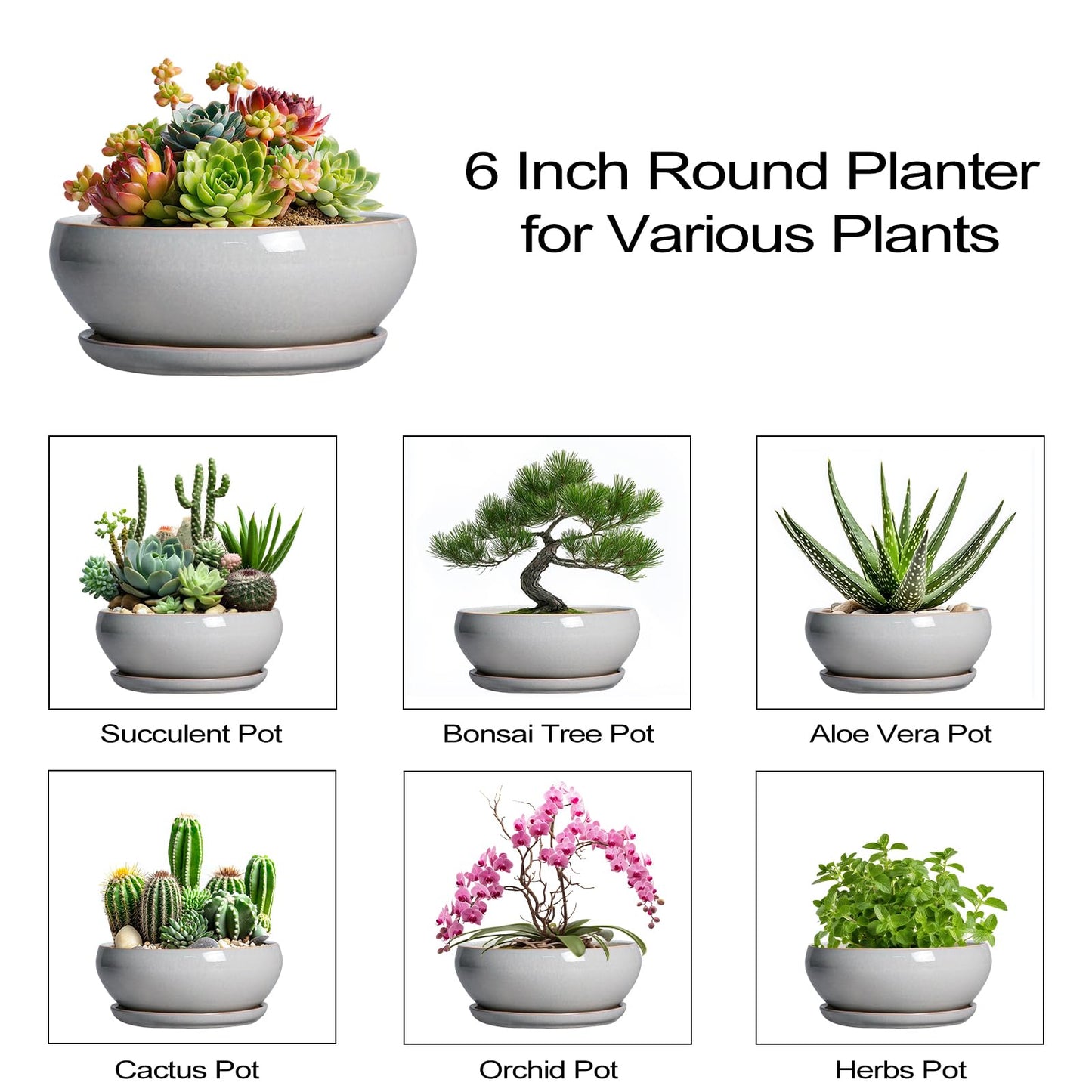 SQOWL Succulent Planters 6 Inch - Ceramic Bonsai Pots with Drainage Hole and Saucer, Shallow Planter for Indoor Plants Outdoor, Round Ceramic Pots for Plants Cactus, Room Decor, Garden Gifts, Gray