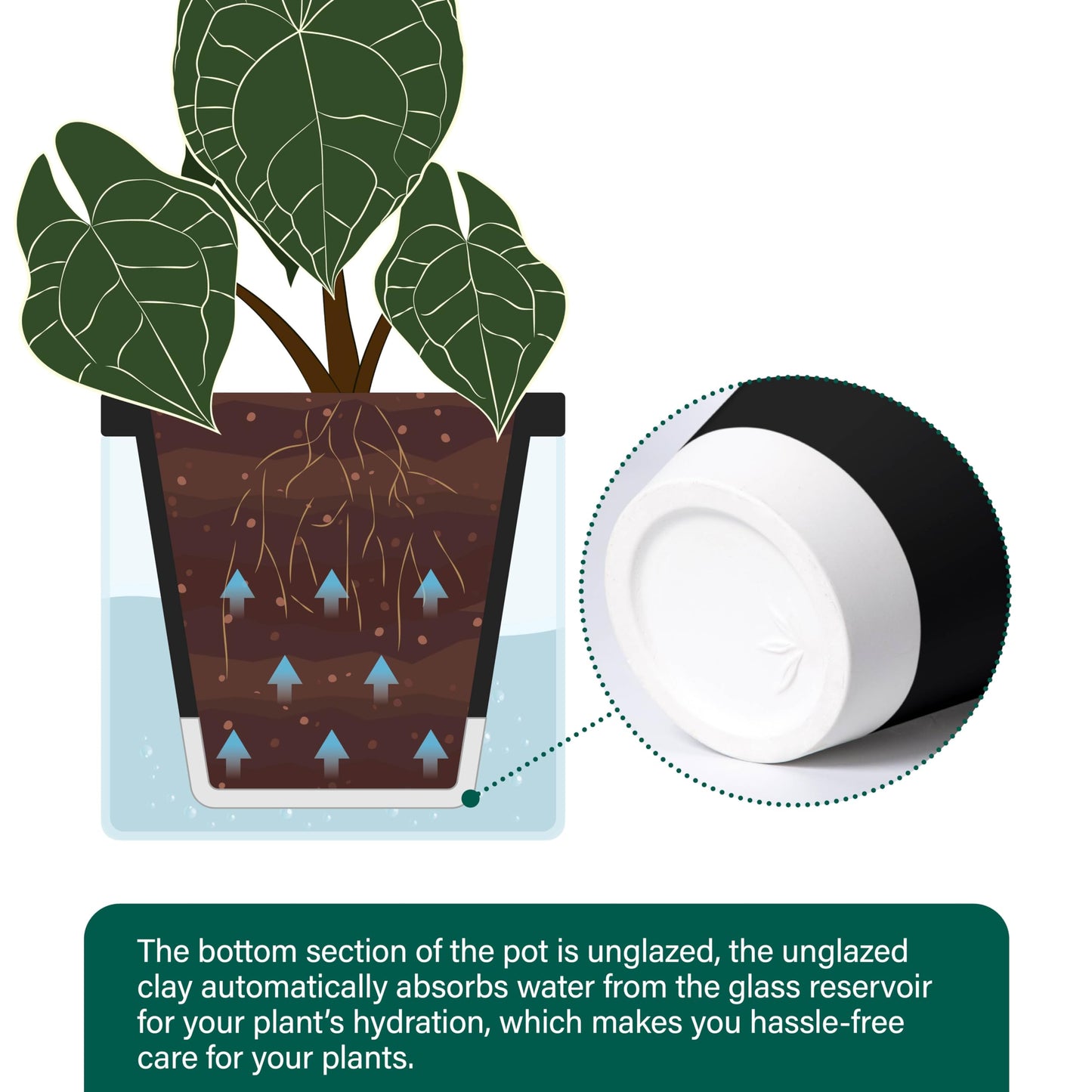 D'vine Dev 6 Inch Design Self Watering Planter for Indoor Plants, Black Terracotta Pot with Cylinder Glass Cup, Set of 2, 37-Y-B-3