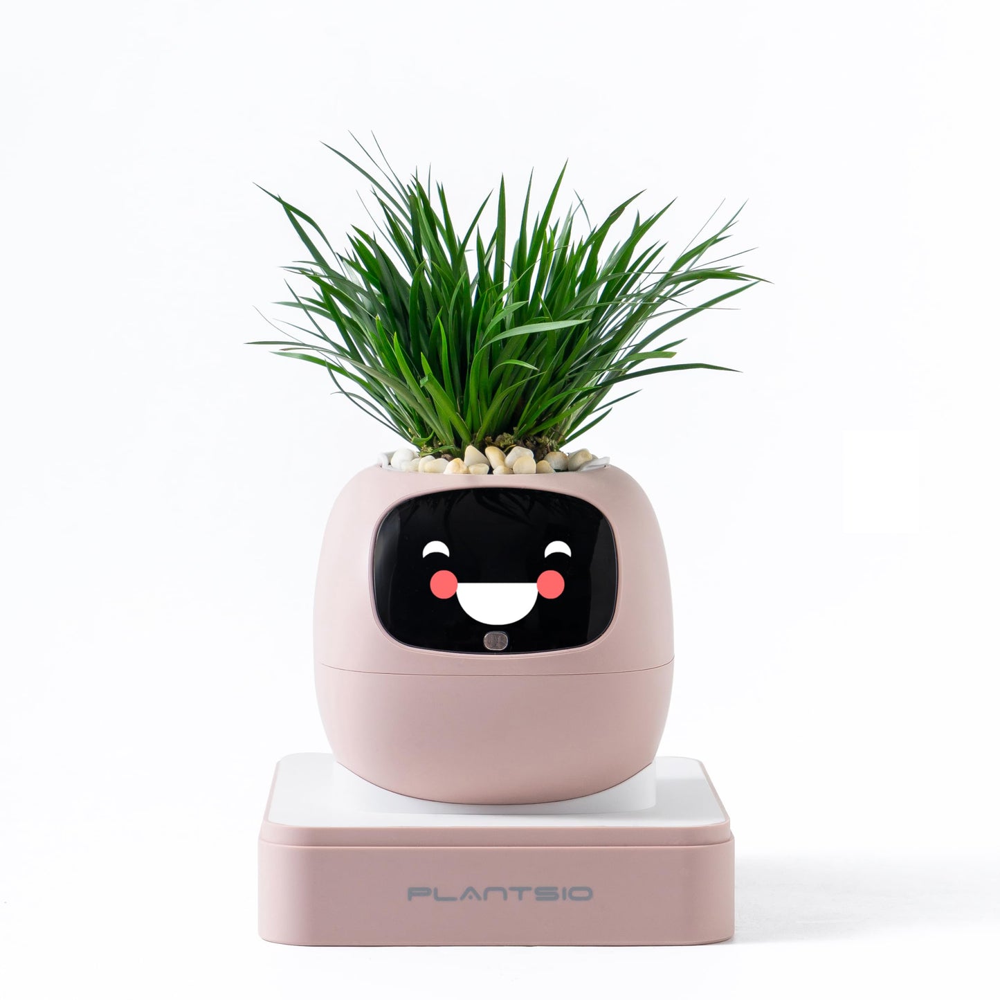 PLANTSIO Ivy Interactive AI Desk Companion, Smart Plant Pet with 100+ Expressions, Cute Indoor Planter for Office Decor, Unique Gift for Plant Lovers & Coworkers(Blush)