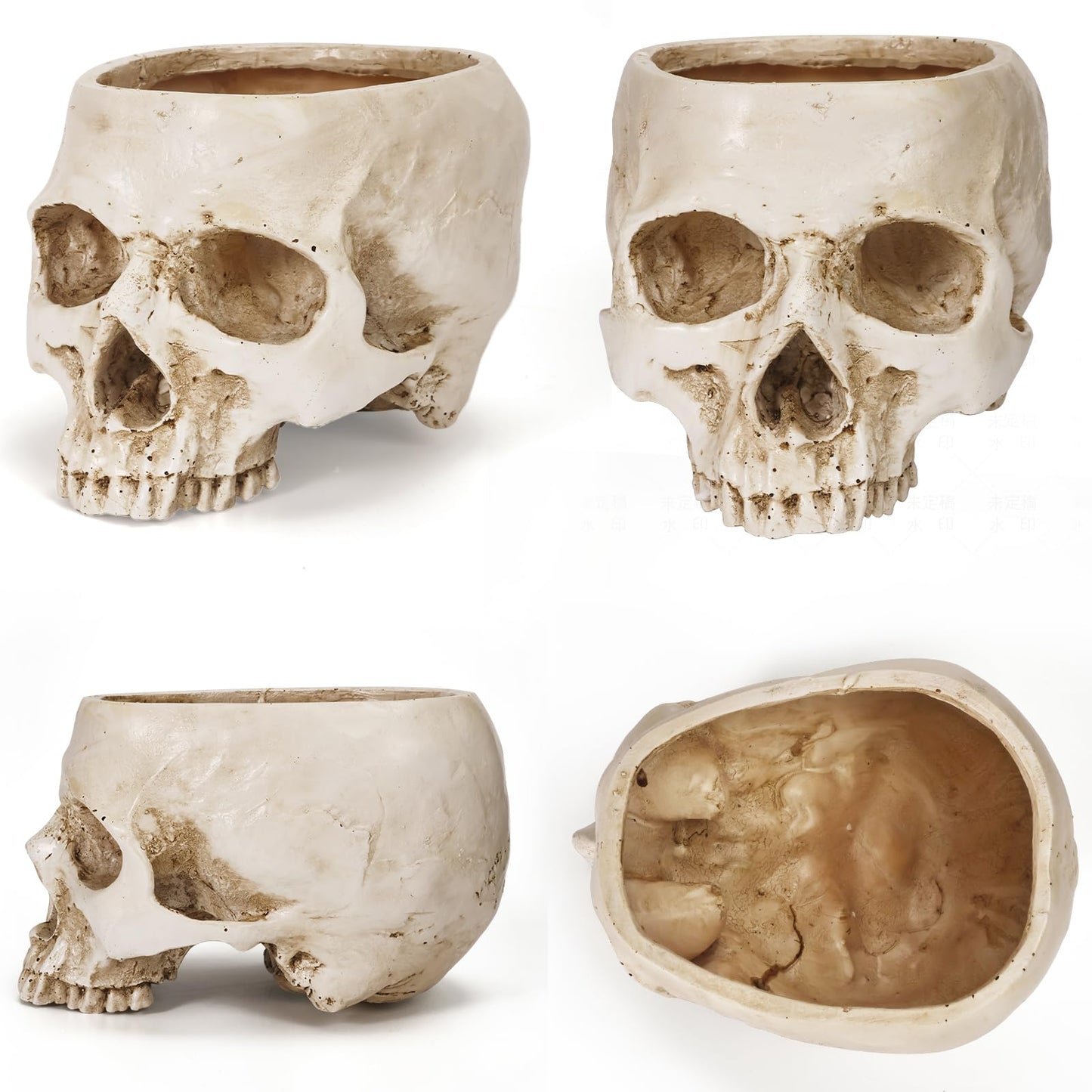 Sinromrich Skull Planter Pot for Plants - Realistic Human Skull Head Flower Pot, Halloween/Gothic Décor, Resin Planter for Succulents, Bonsai, Cactus, Home Bar, Desk, Spooky Gift Idea (Antique White)