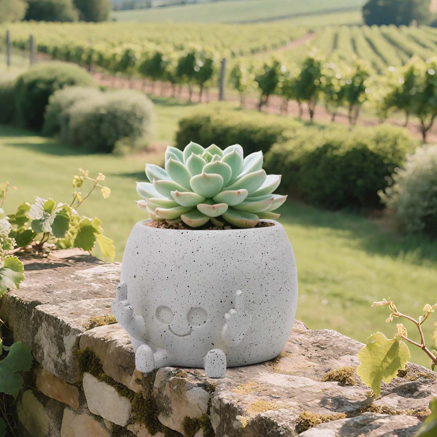 LAUGOKOBE Smily Face Planter Pot with Middle Fingers Up, Face Plant Pot Resin Flower Head Planters for Indoor Outdoor Plants Succulent Pots for String of Pearls Plant Live Gift Ideas for Christmas