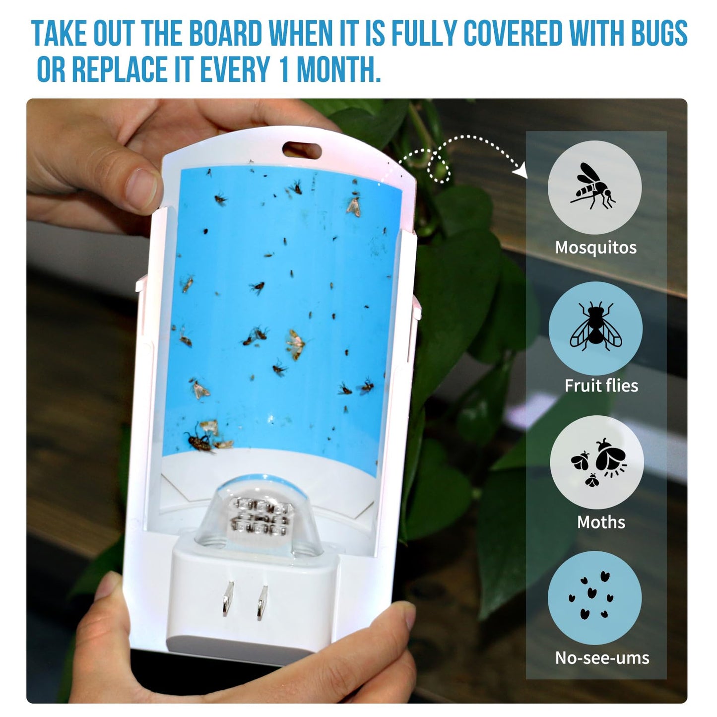 2 Flying Insect Traps & 8 Cartridges - Plug in Fruit Fly Trap for Indoor - Bug Catcher for Gnats, House & Fruit Flies - Mess-Free with Blue & UV Light (2 x Devices & 8 x Refills)