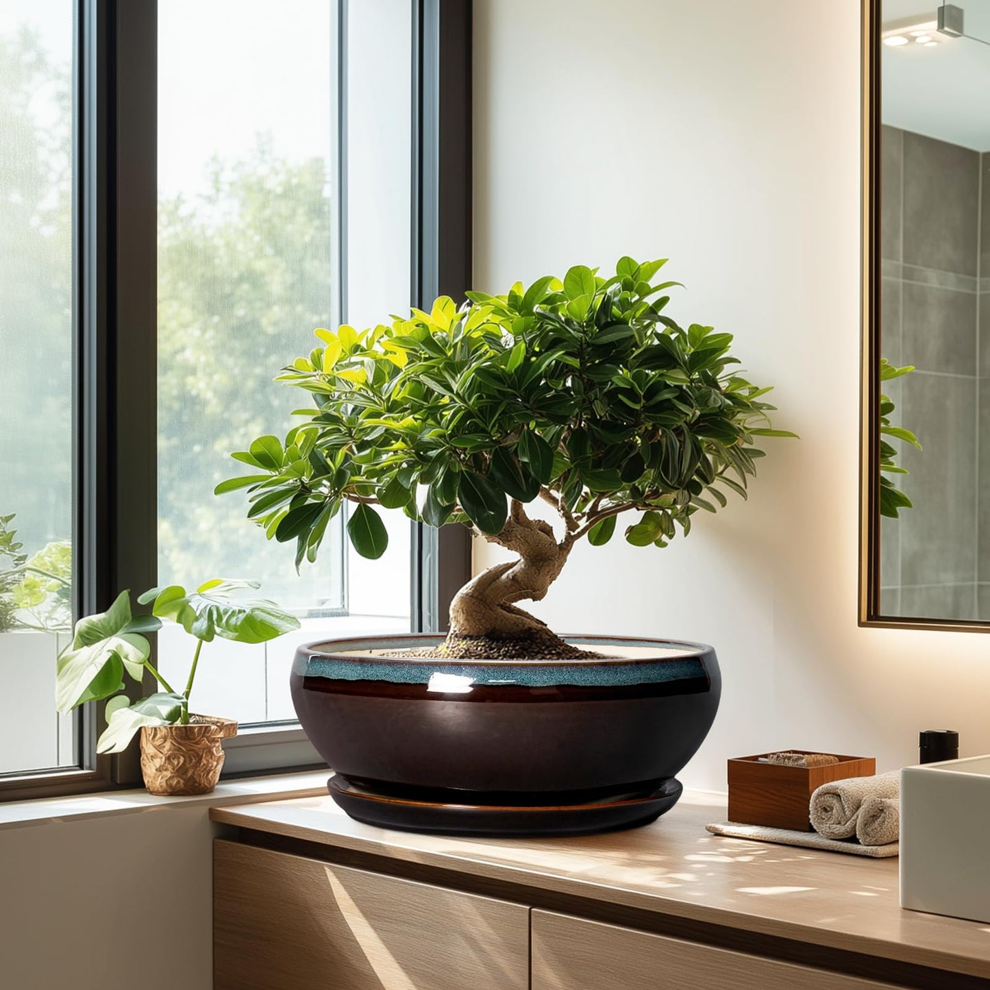 SQOWL Bonsai Planter 12 Inch - Ceramic Succulent Pots Large, Round Shallow Plant Pots Indoor with Drainage Hole and Saucer, Bowl Planter Outdoor for Flower, Room Decor, Housewarming Gifts, Blue-Brown