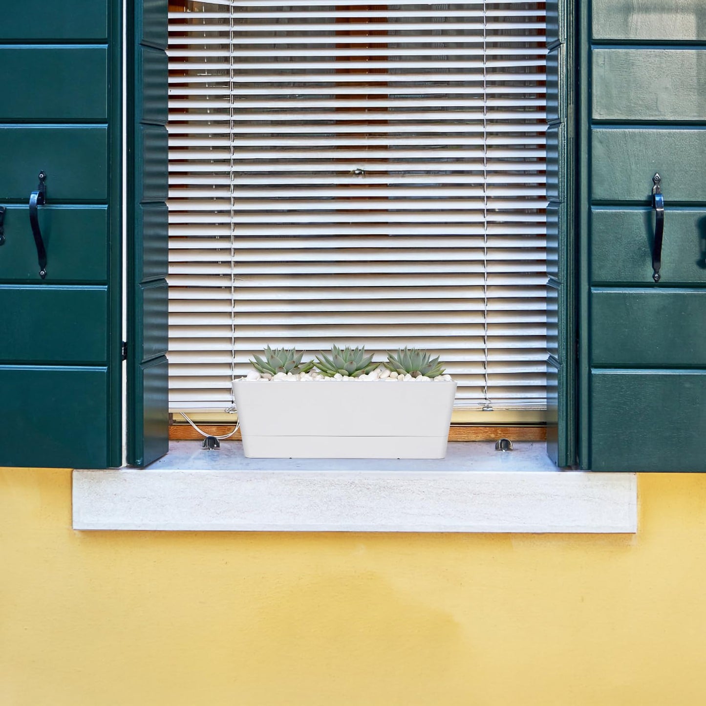 GREANER 16x3.8 Inch Window Boxes Planters, 1PCS Plastic Rectangle Potwith Tray, Lightweight Indoor Succulent Cactus Flowers Vegetable Herb Planters for Balcony, Office, Garden, Outdoor, Windowsill
