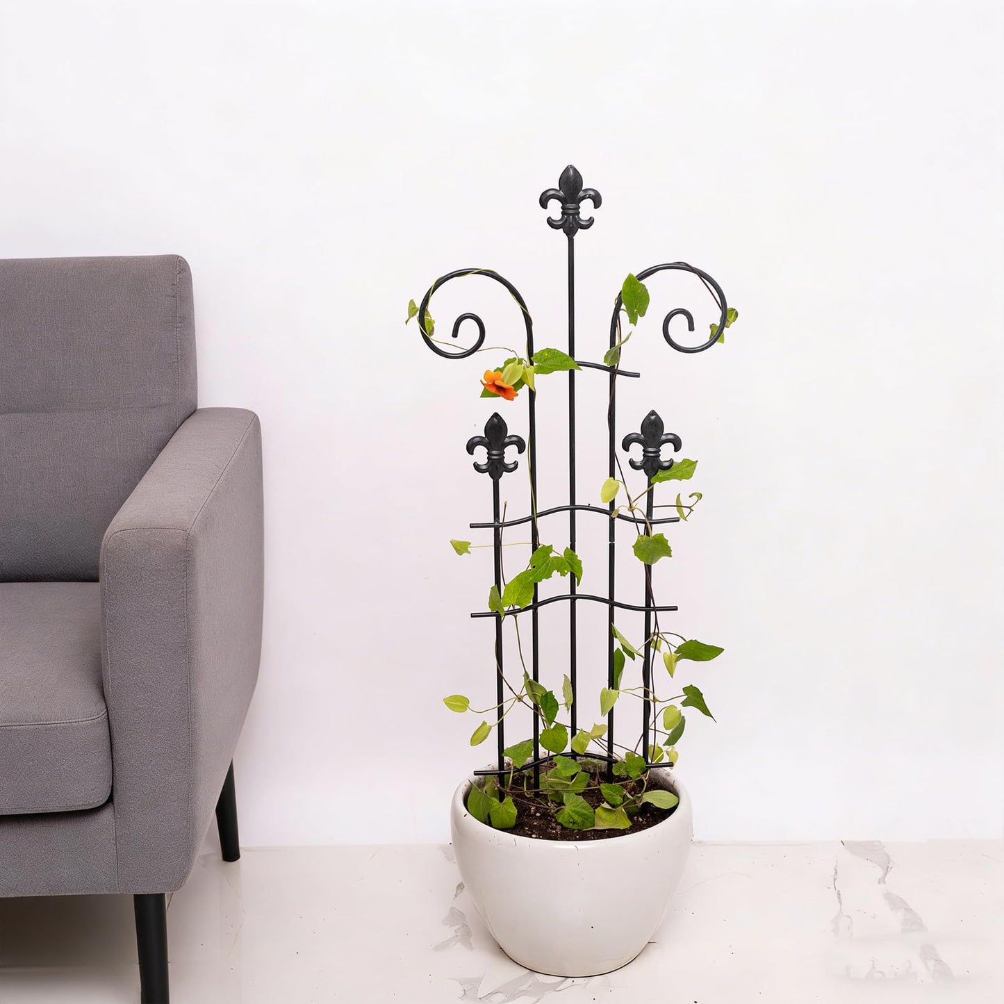 GOOOXIM 31" Trellis for Climbing Plants Indoor - Heavy Duty Metal Support for Potted Plants, Ideal for Vining Plants, Perfect for Tall Monstera & Houseplants, for Gardeners & Plant Lovers