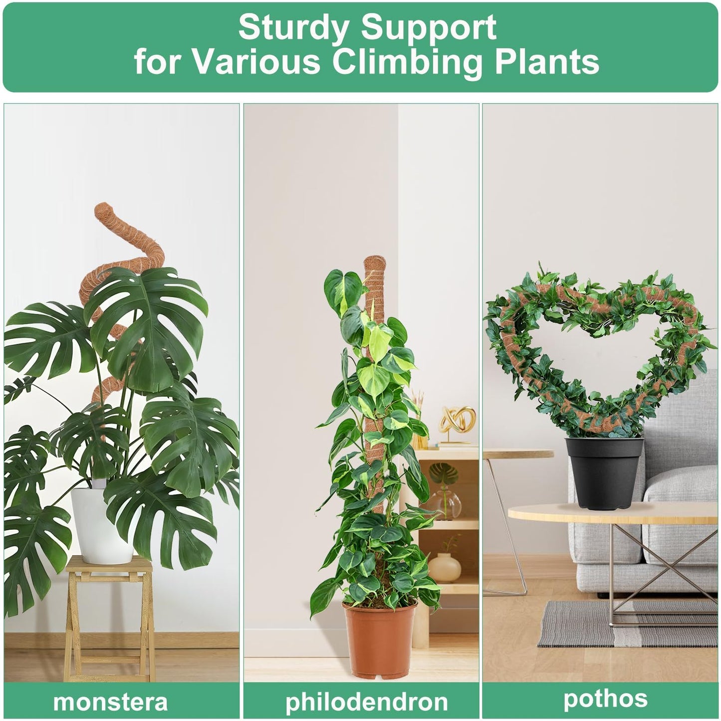3 Pack Moss Pole, 30 Inch Monstera Plant Support, Moss Poles for Climbing Plants Indoor DIY, Coco Coir Plant Pole Moss Plant Stick Support Stake Kit for Potted Plants, Pothos, Philodendron