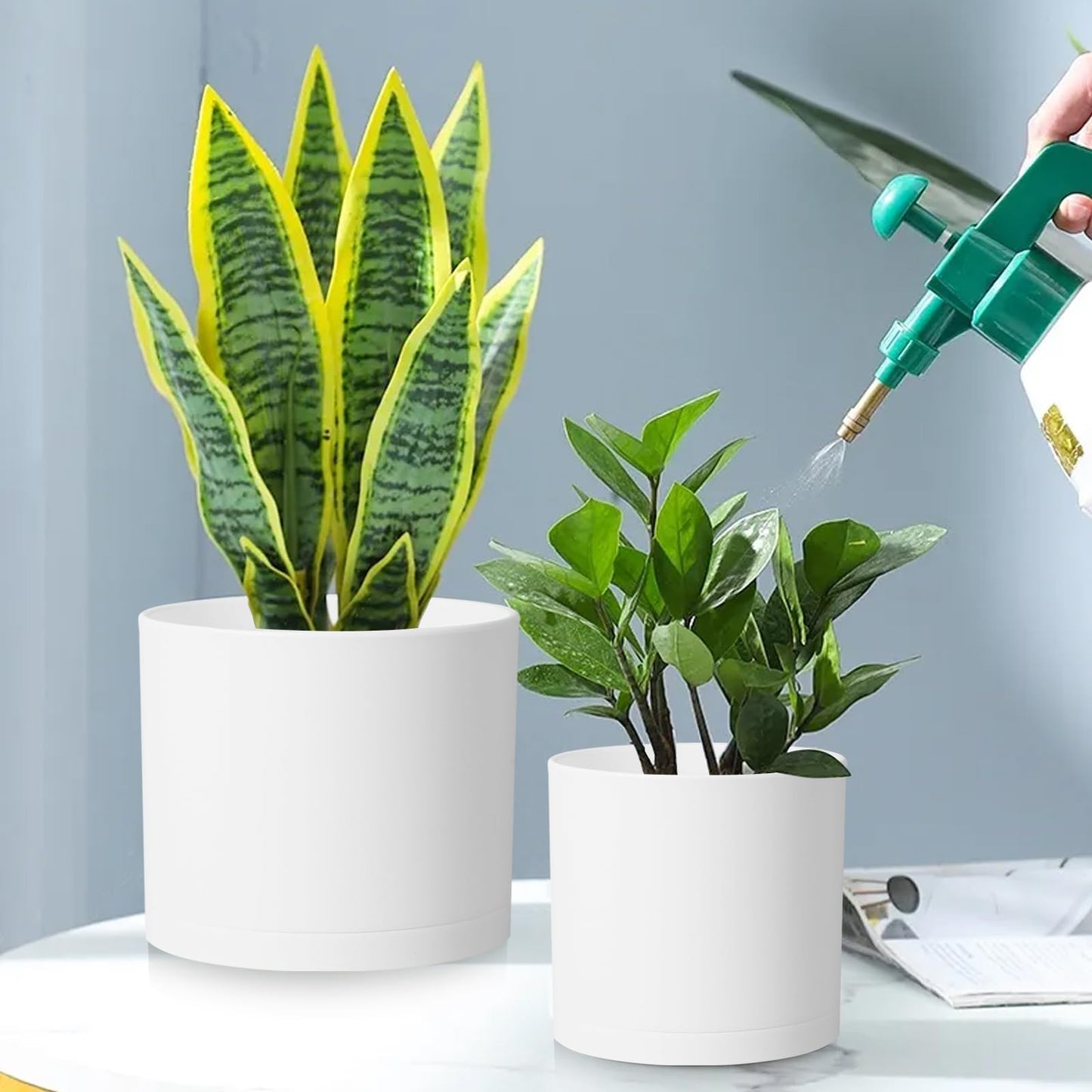 DGJDLWHX Large Plant Pots Set of 3 – 8", 9", 10" Indoor Flower Pots with Drainage Holes and Saucers, Big Planters for Monstera, Fiddle Leaf Fig, Snake Plant – 5 Colors