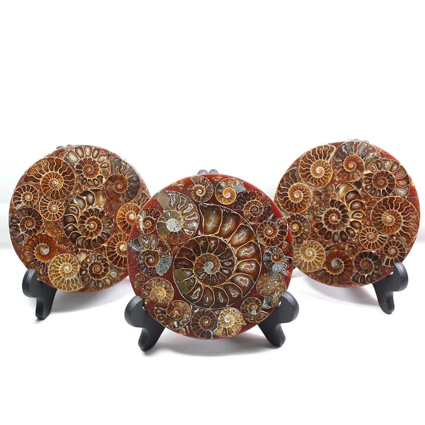 ZHDECOR Natural 11cm Natural Ammonite Shell Plate with Shelf, Mineral from Madagascar Circle Disk, Reiki Crystal Healing Stones Decorations