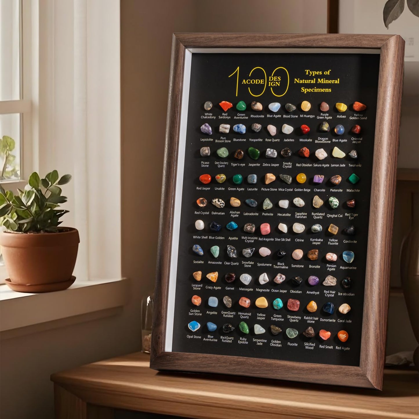 ACODE Natural Mineral Specimen Shadow Box, Geology Collection Display Case, Home Decor Wall Art Tabletop Display with Real Rocks Crystals, Gift for Birthday Christmas Housewarming Children's Day