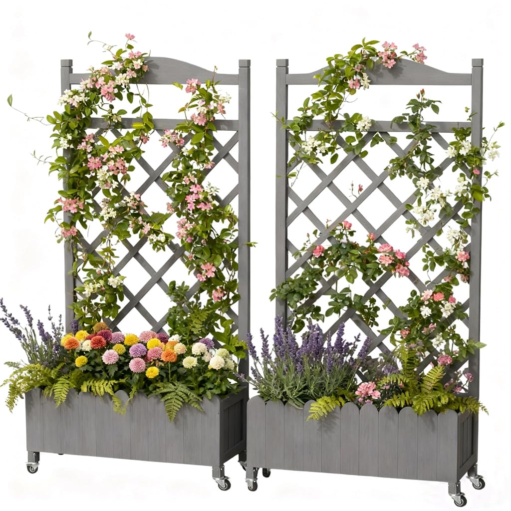 COMHOMA 2 Pack Raised Garden Bed with Trellis and Wheels,48Inch Elevated Planter Box with Drainage Holes,Lattice Privacy Screen for Climbing Plants Vegetables,Outdoor for Patio Balcony Yard,Gray