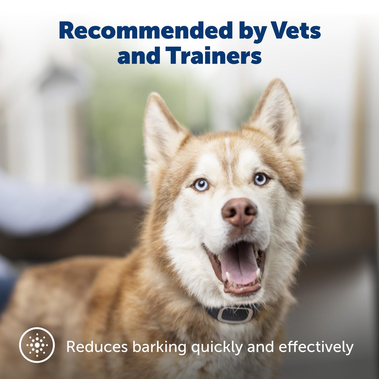 PetSafe Bark Control Collar, Waterproof Basic Bark Control Collar for Small Medium or Large Dogs 8 lb. and Up, Anti-Bark Static Correction Training Device for Canines