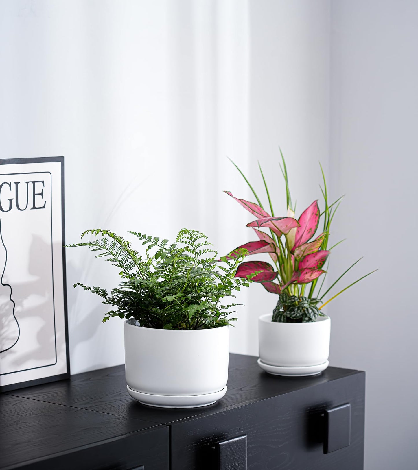 Ton Sin Plant Pots, 4.1+5.1+6.5 inch, Set of 3, Ceramic Planters with Drainage Hole and Saucer, Indoor Flower Pot with Drainage Hole, Gifts for Mom(Matte White)