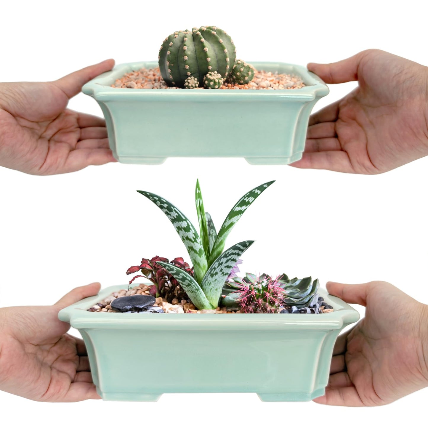Set of 2 Zisha White Clay Bonsai Pot Glazed Shallow Succulent Planter Light Green