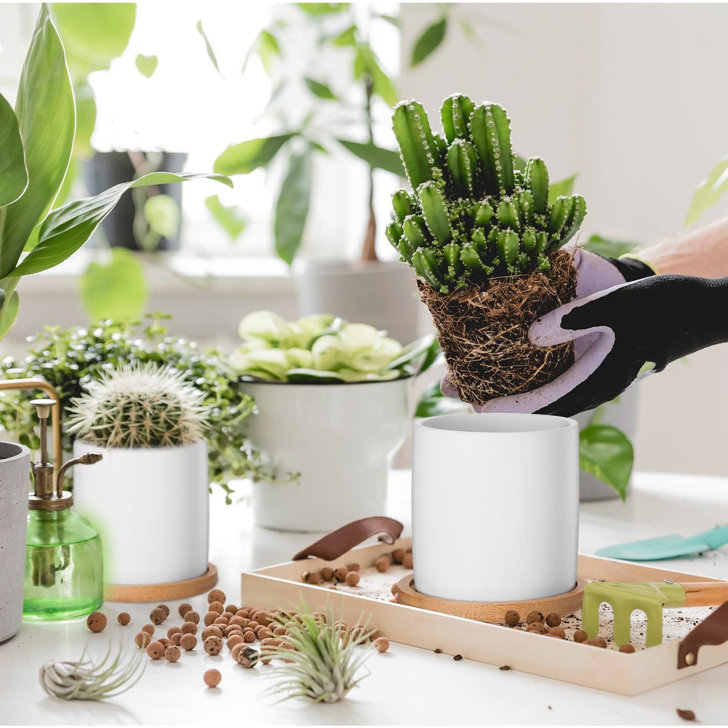 Cindeer 12 Pack Small Succulent Plants Pots 3 Inch Ceramic Flower Planter Pot and Bamboo Tray with Drainage Hole for Succulents Cactus Indoor Garden Decorations, Plant Not Included(White)