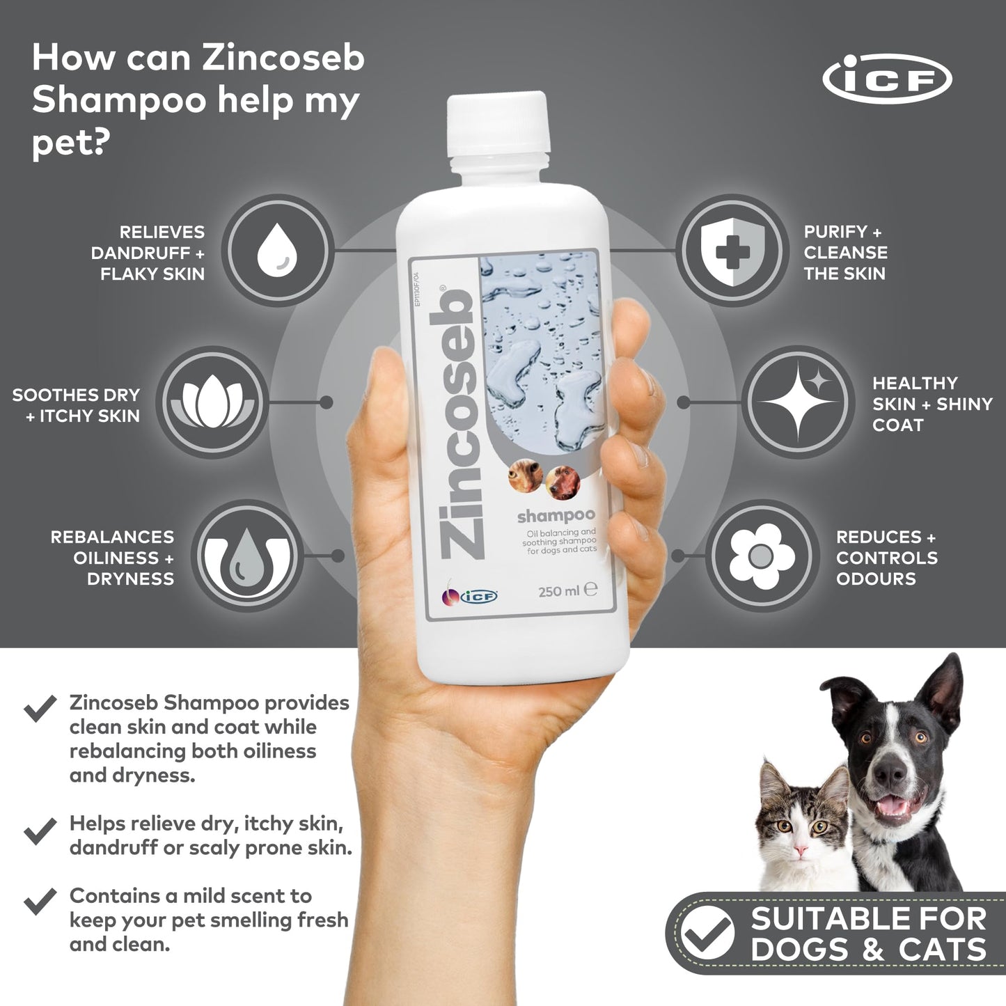 ICF Zincoseb Dog Shampoo for Itchy Skin Relief Anti Itch + Antifungal + Antibacterial for Dogs & Cats Made for Pets with Sensitive Skin 250 ml