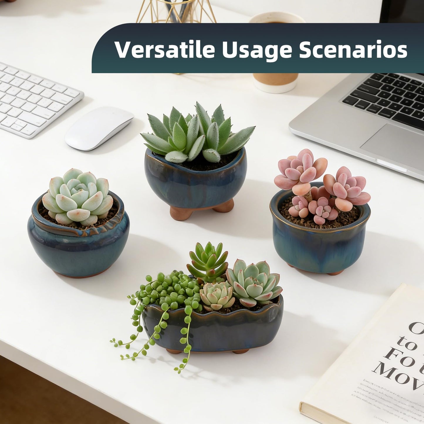 ginojex Ceramic Succulent Garden Pots Small Plant Planter Container with Drainage Set of 5 for Home Office Decor