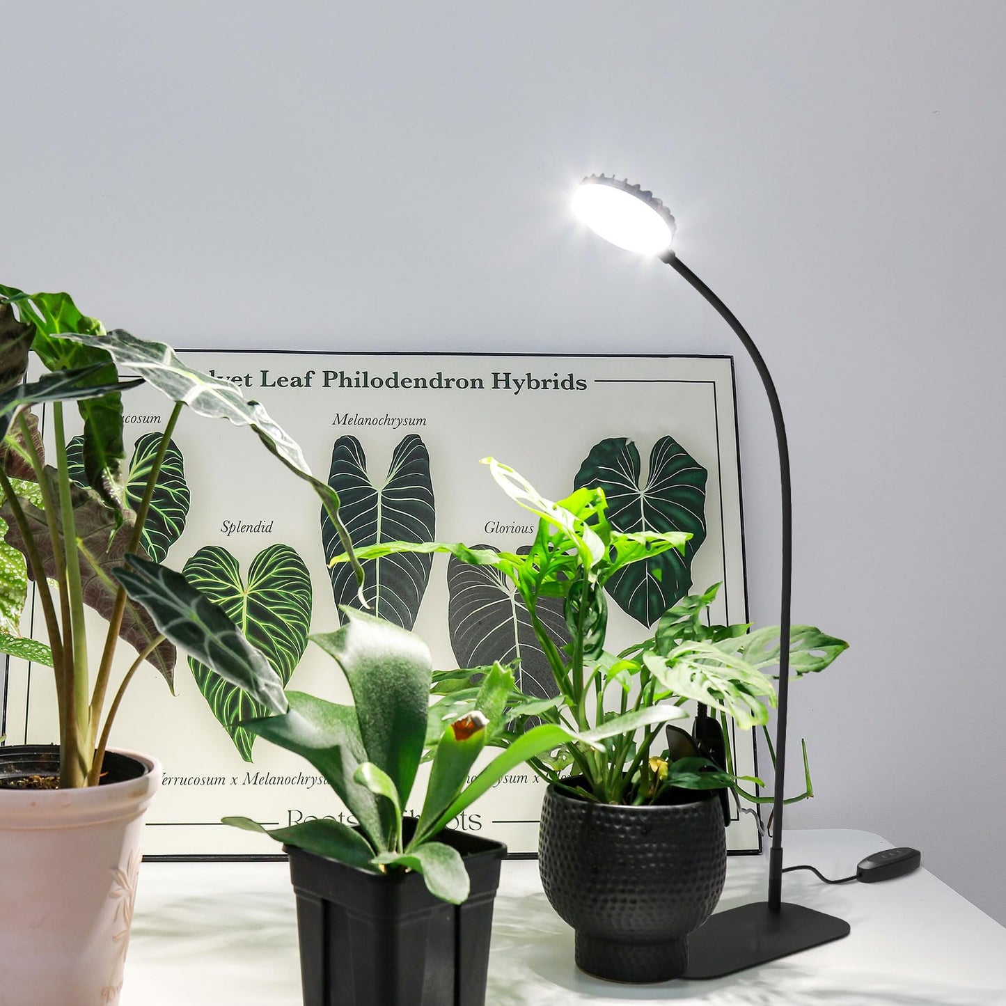 SGLEDs Desktop Plant Grow Light,12w Growing Lamps High Ppfd,Full Spectrum Desk Growth Light with Automatic Timer,4 Dimmable Levels(Black)