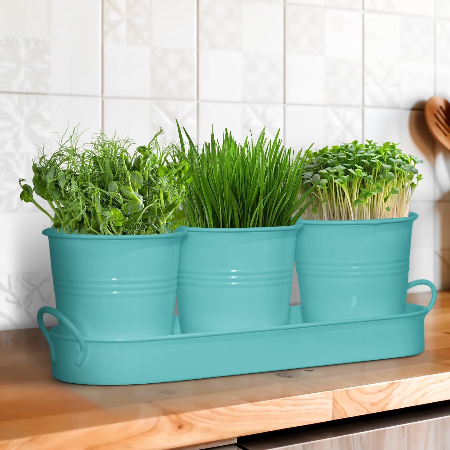 Plexon Herb Planter Indoor Garden Set of 3 with Tray, Metal Herb Pots for Indoor Plants, Round Kitchen Garden Kit Ideal for Windowsill Planter or Countertop, Aqua Mist Blue Powder Coated