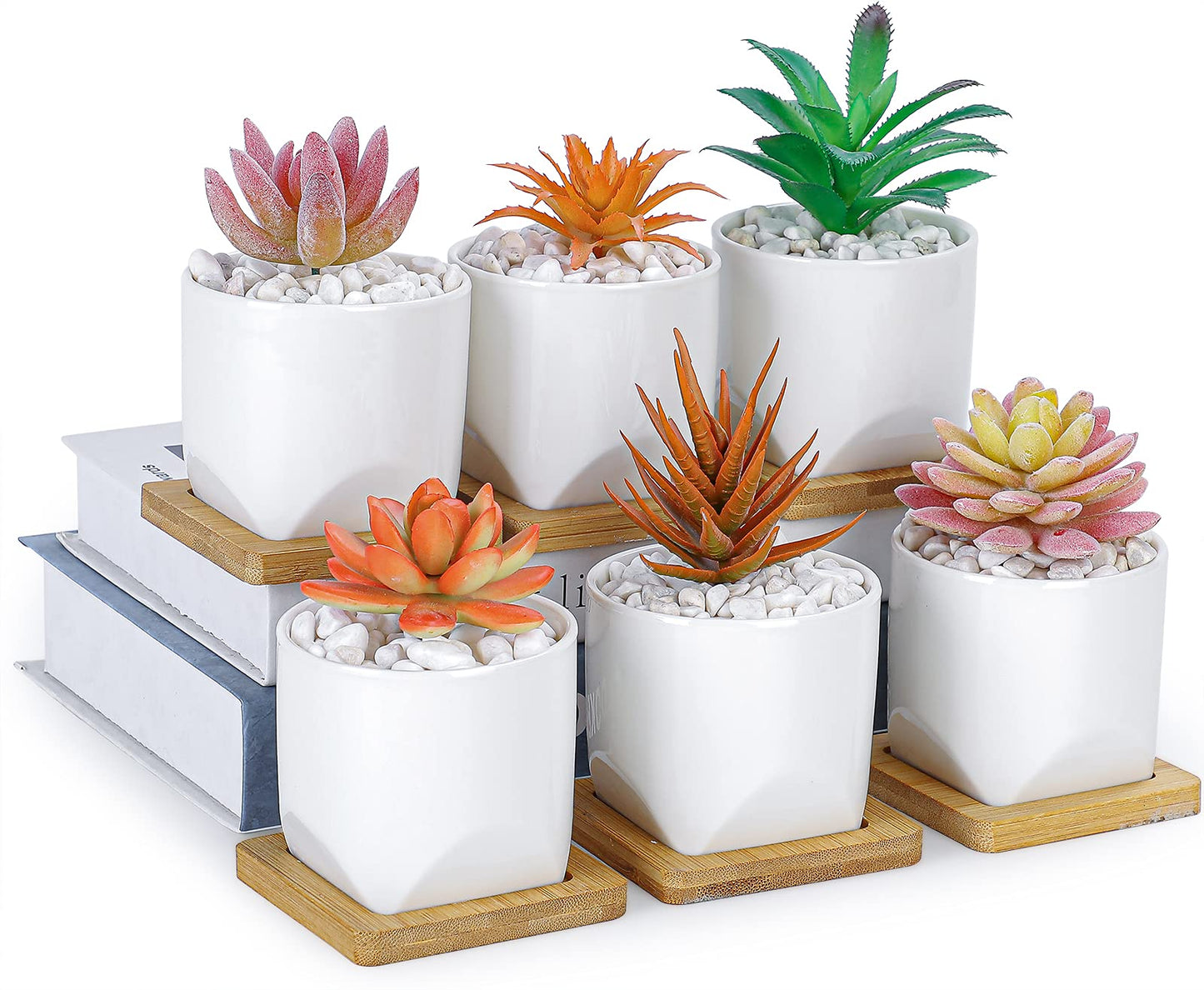 ARTKETTY Succulent Pots - 3 Inch Small Succulent Planter Pot with Drainage Trays Set of 6, Ceramic Planters for Indoor Plants Cactus Flower Plant for Home Office