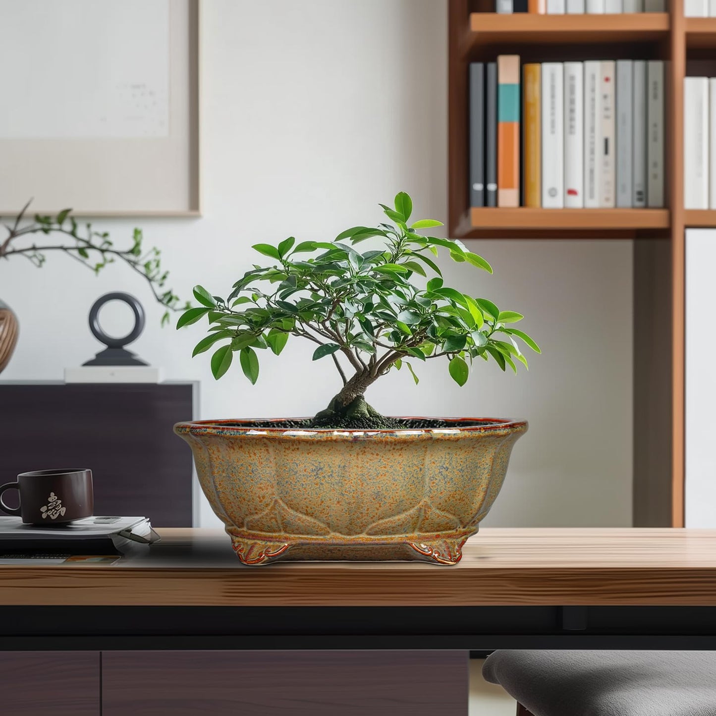 Teagas Ceramic Bonsai Pots - 11 Inch Succulent Planters for Indoor Outdoor Plants, Bonsai Tree Pots with Drainage Hole, Shallow Succulent Plant Pot, Room Decor, Plant Lover Gift, Oval Yellowish Brown