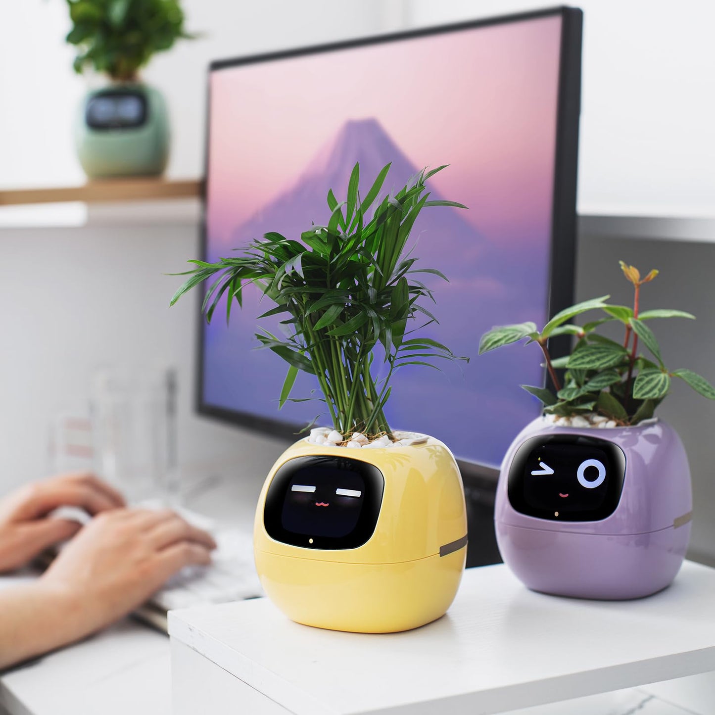 PLANTSIO Smart pet Planter Robot Guidance on Plant Care with Emojis, Adorable Plant Companion with Rich Gesture Interaction, Neat Desk Setup Gift (Yellow)