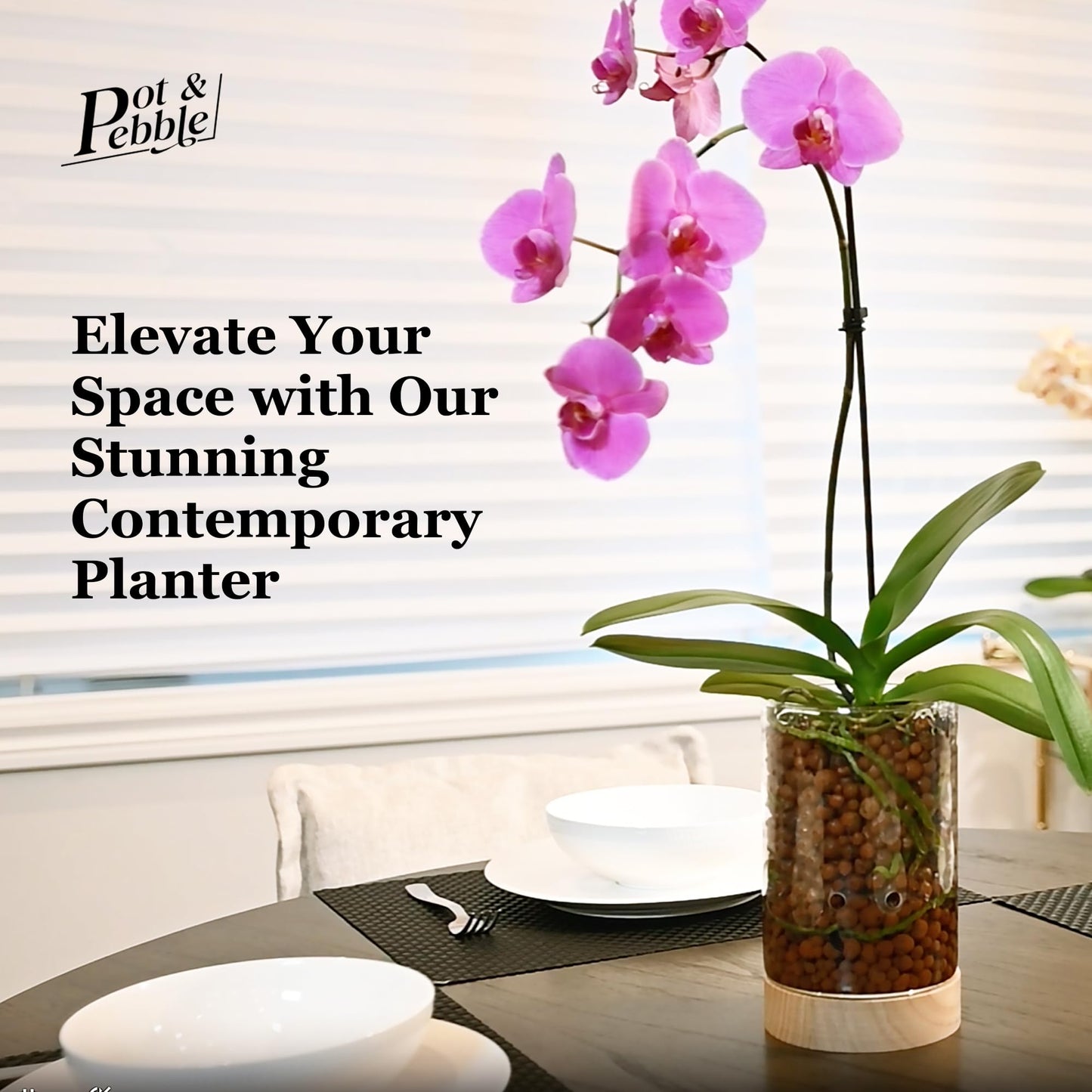 Pot & Pebble - C1 Glass Planter with Wooden Base - Indoor Glass Planter with Water Level Control Holes -Grow Plants in LECA Clay Pebbles/Similar Media - Semi Hydroponic Planter - Plant Cutting Holder