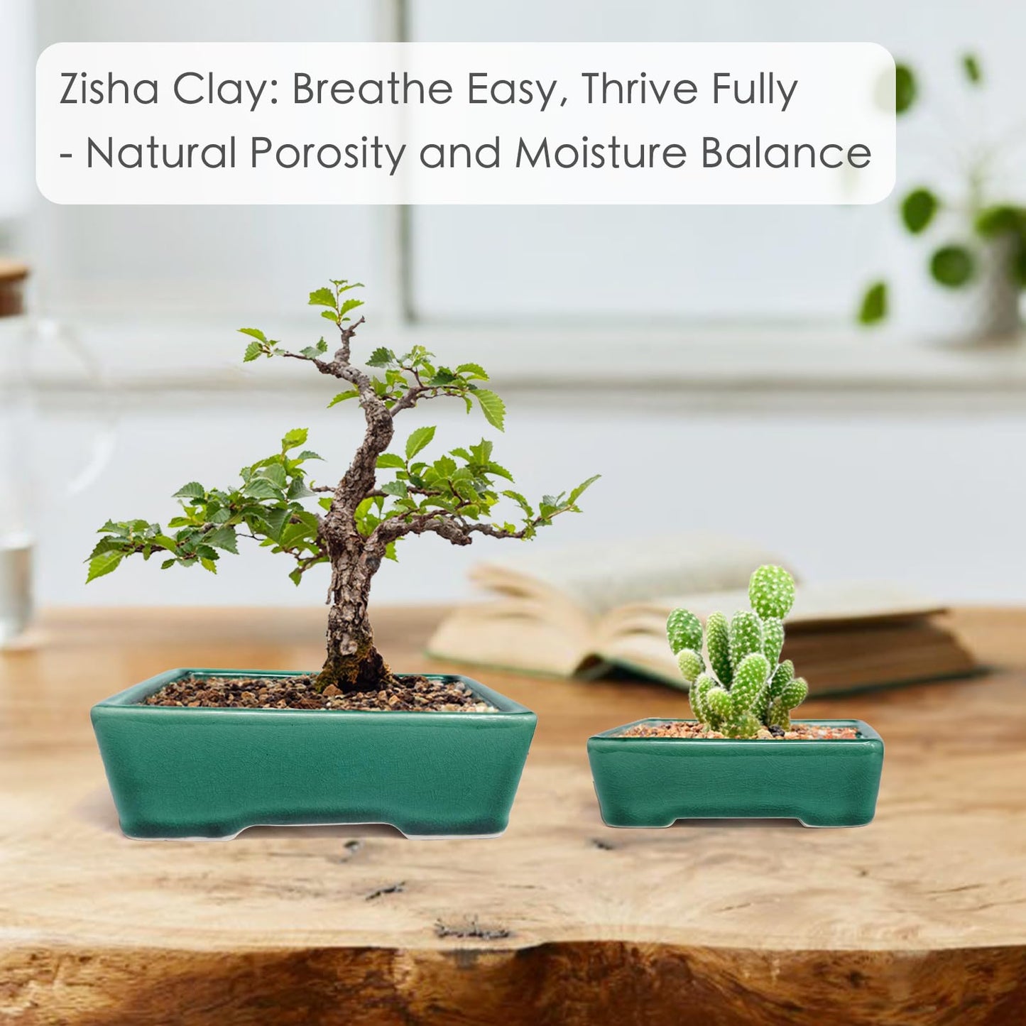 Set of 2 Zisha White Clay Bonsai Pot Glazed Shallow Succulent Planter Green