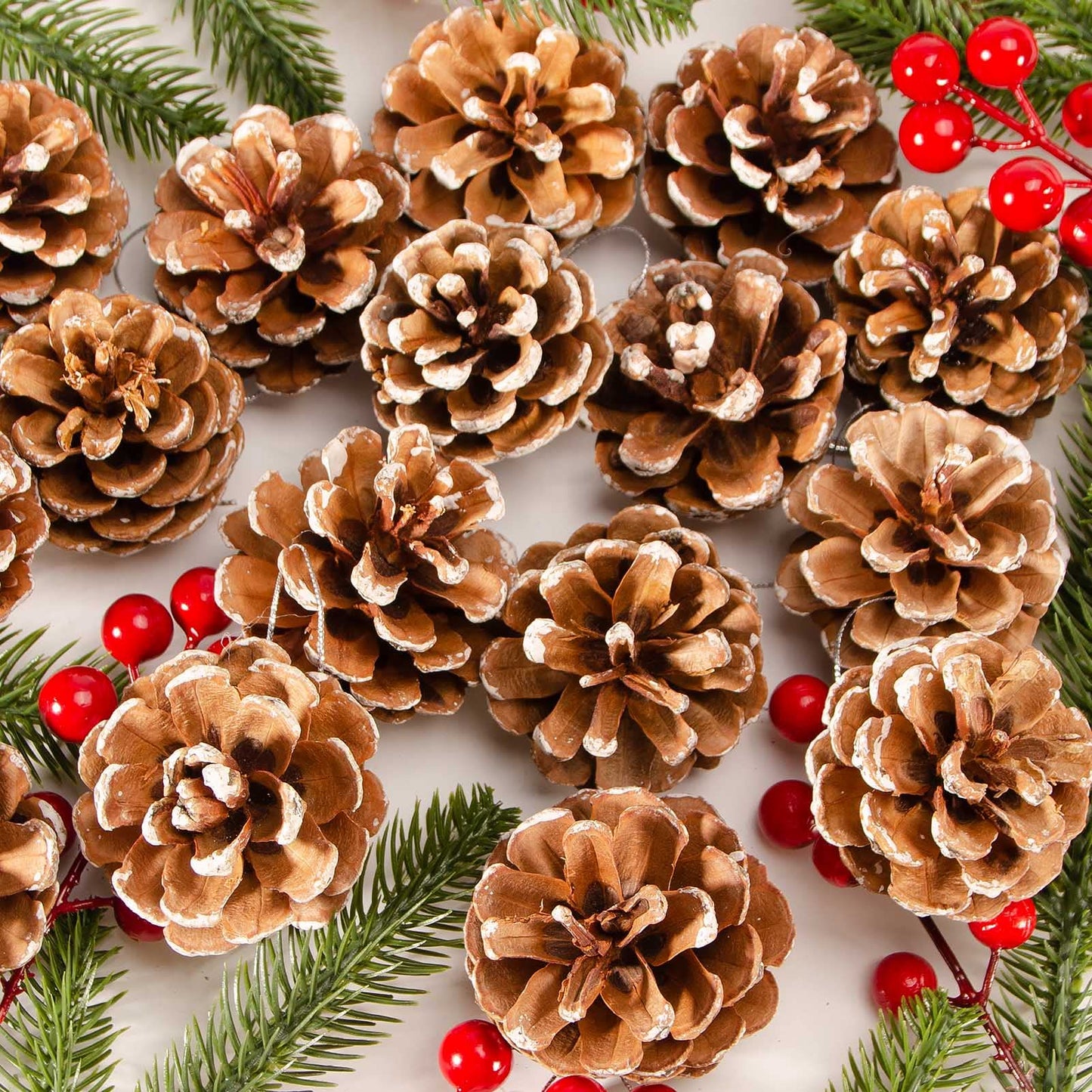 24PCS Christmas Natural Pine Cones,Rustic Pinecones with String for Crafts & Decorating Winter Xmax Holidays Vase and Table Bowl Fillers(Dia. 1.57-1.96 Inches)