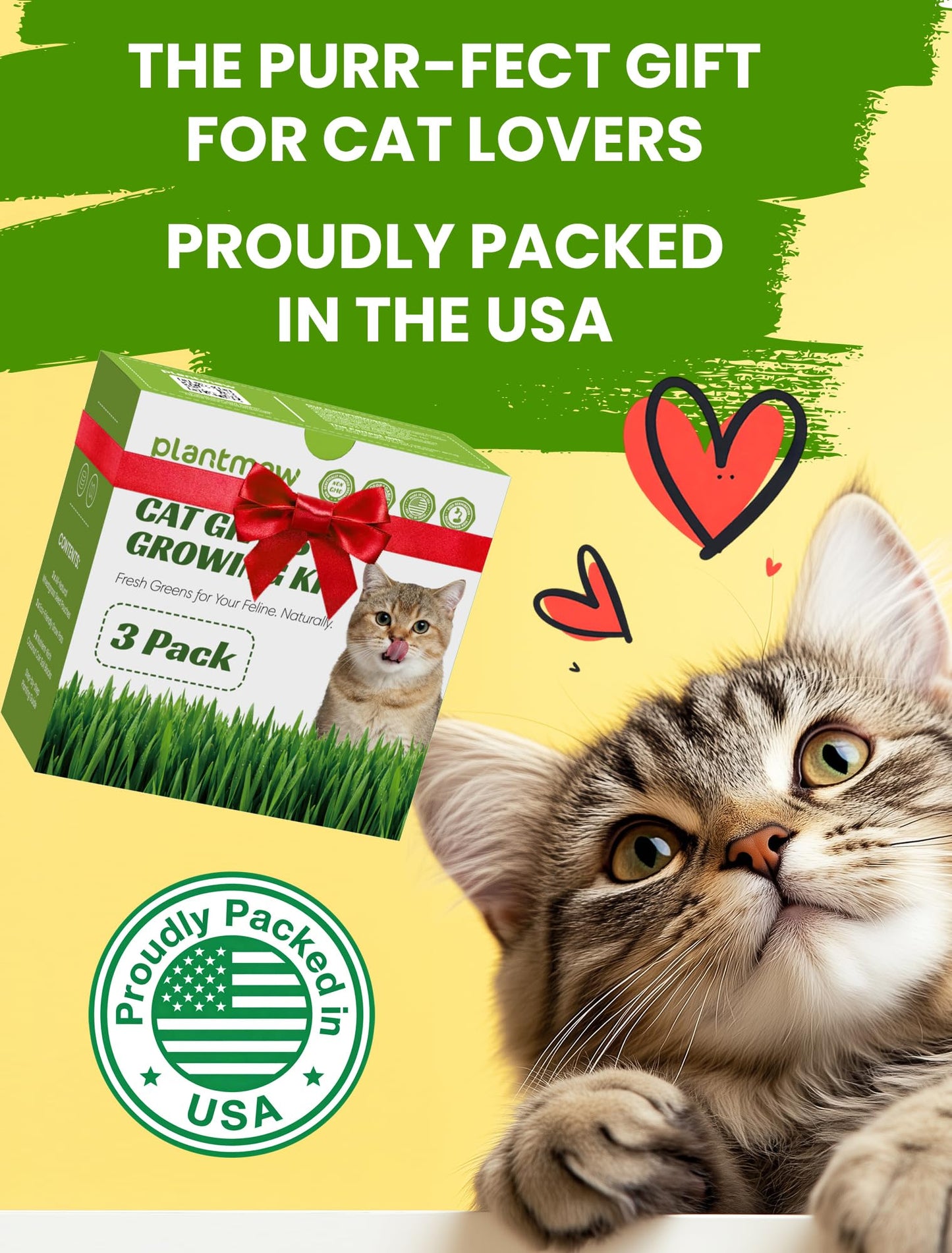 Cat Grass Kit for Indoor Cats, 3 Pack Fast Growing Cat Grass Kit with Eco-Friendly Biodegradable Pots, Soil & Wheatgrass Seeds, Grows in 3-7 Days with High Germination Rate